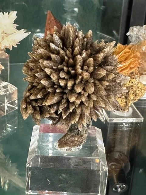 The Hedgehog