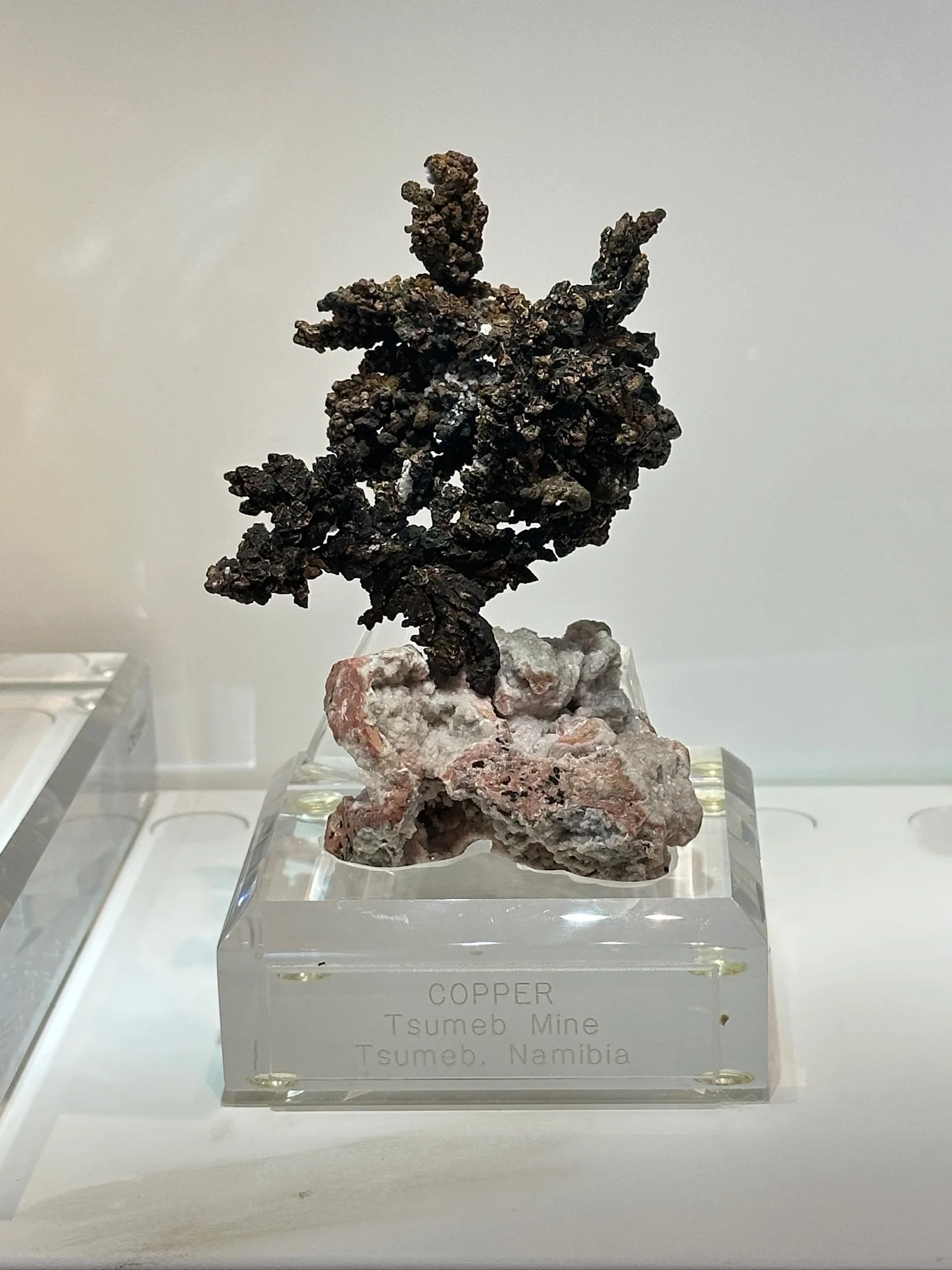Sussman Tsumeb Copper "the Tree"