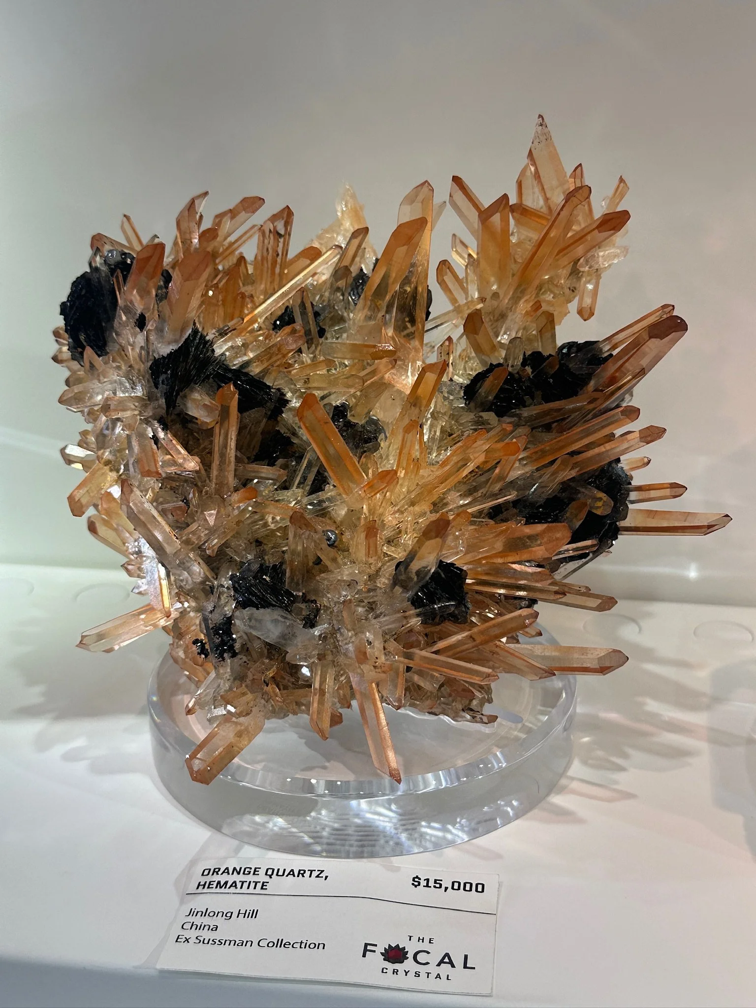 Intense Jinlong (sold)