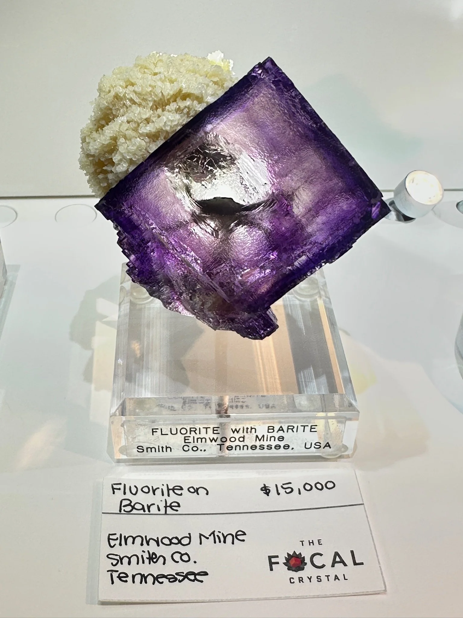 Complete Jewel Elmwood (sold)