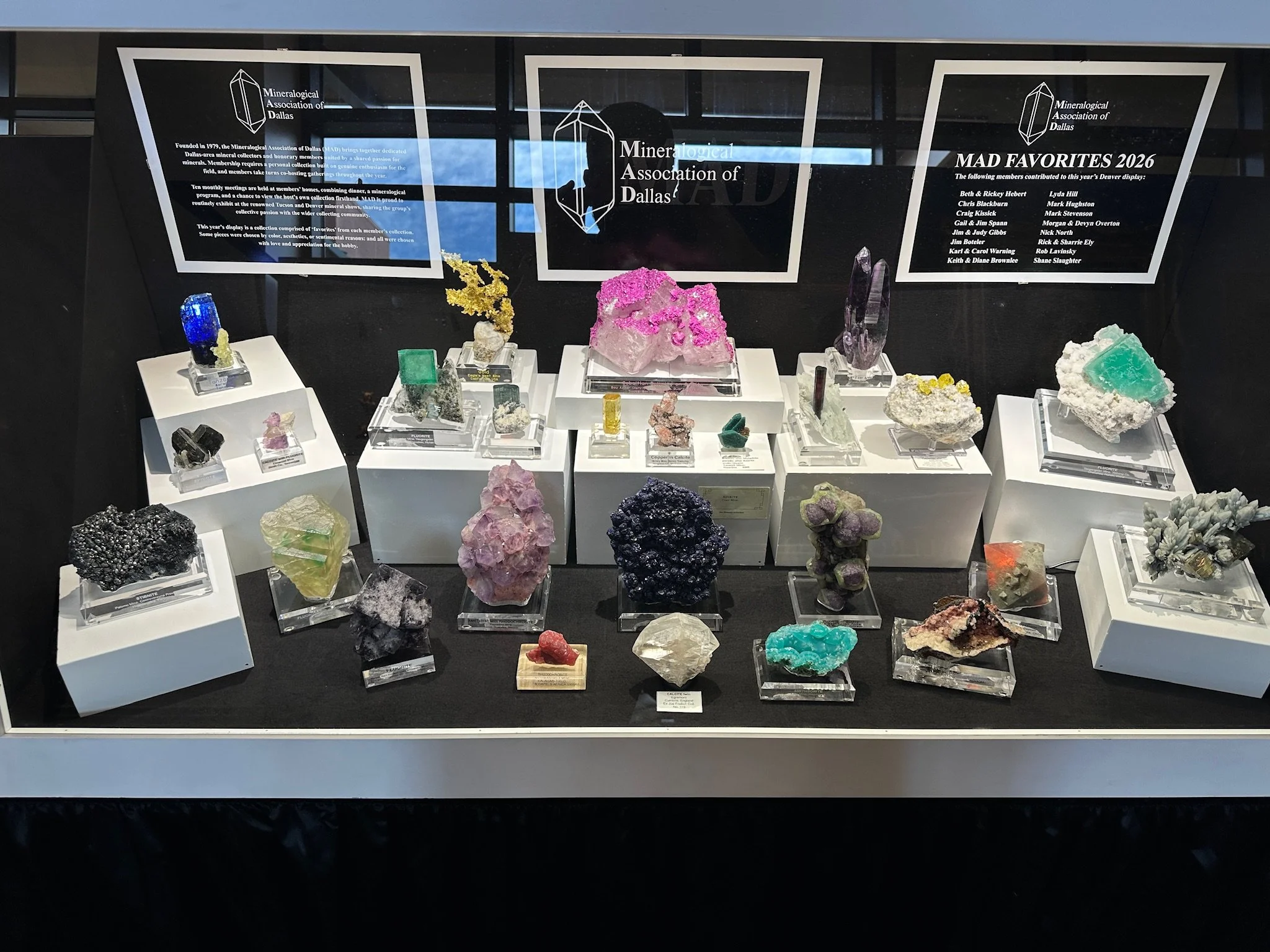 MAD (Dallas) Display