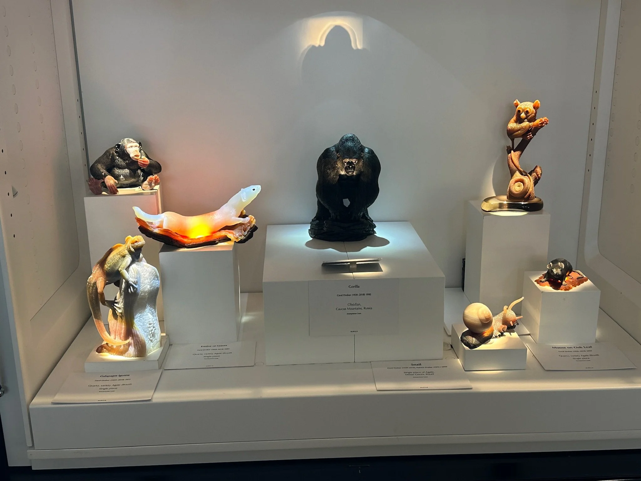 HMNS Dreher Display