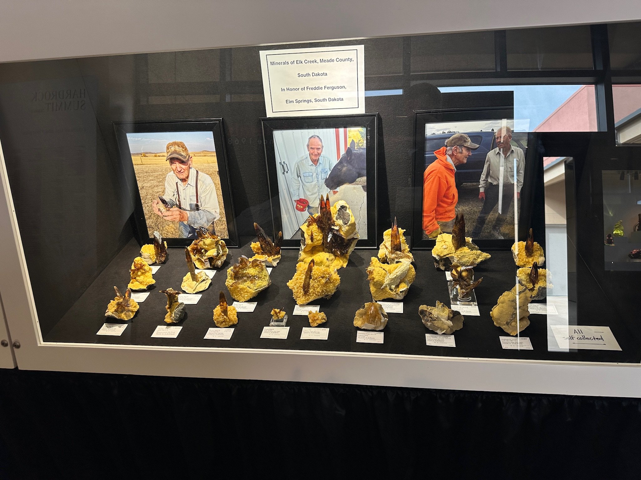 Martin Jensen Elk Creek display