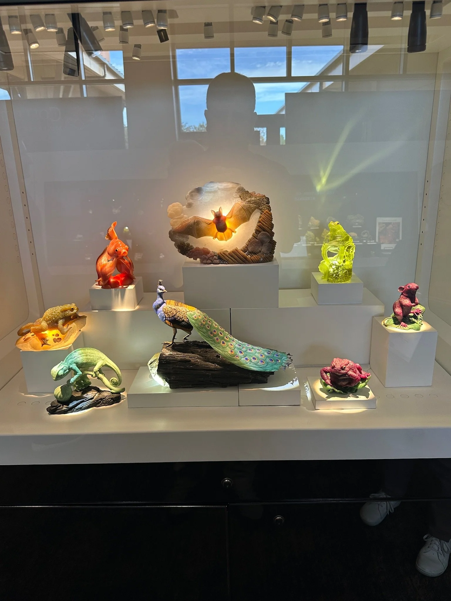 More HMNS Dreher Treasures