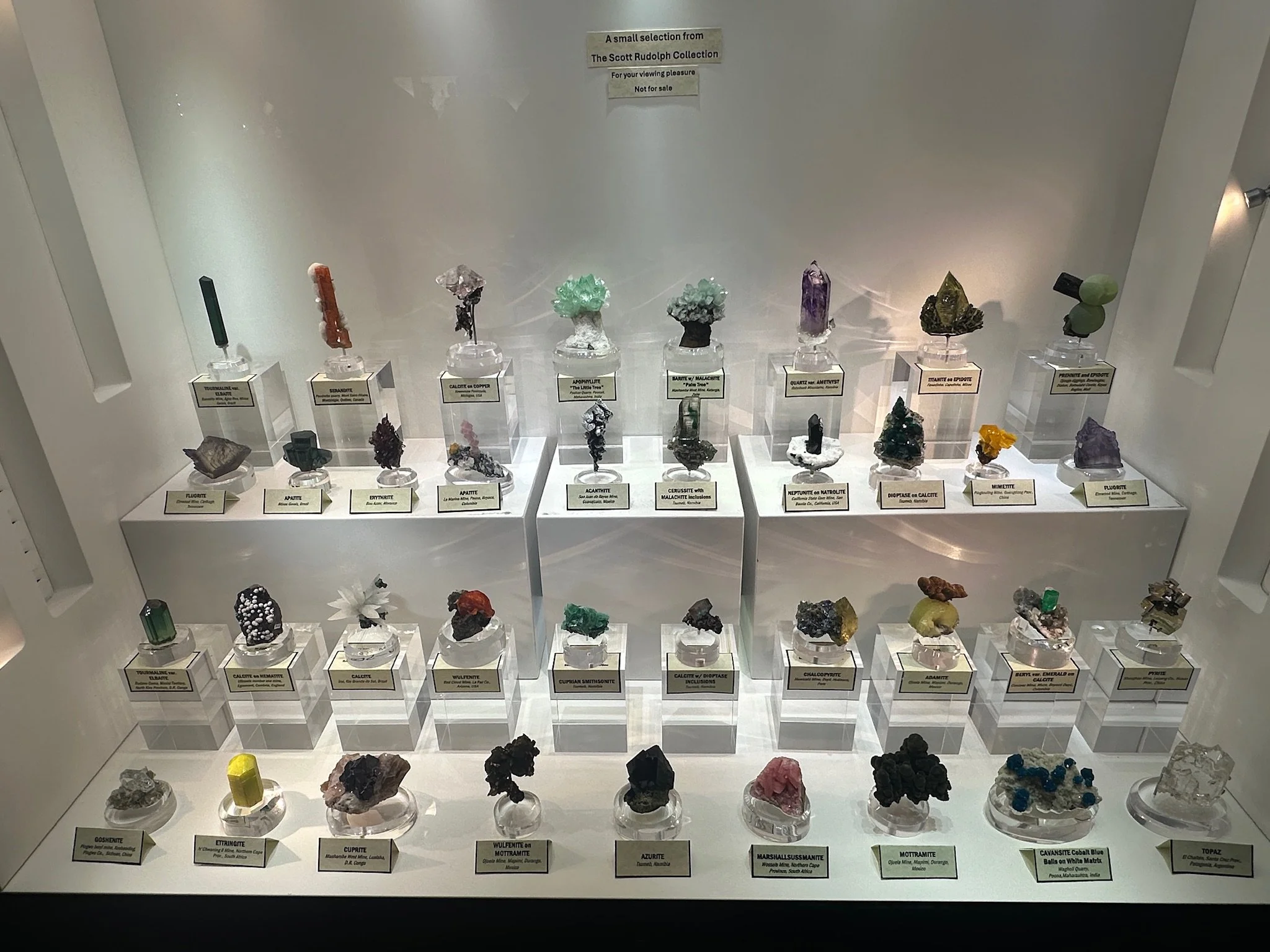 Part of Scott Rudolph Display