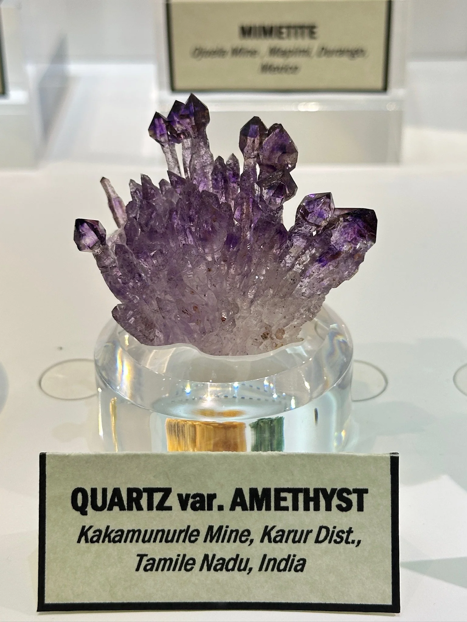 Rudolph Amethyst