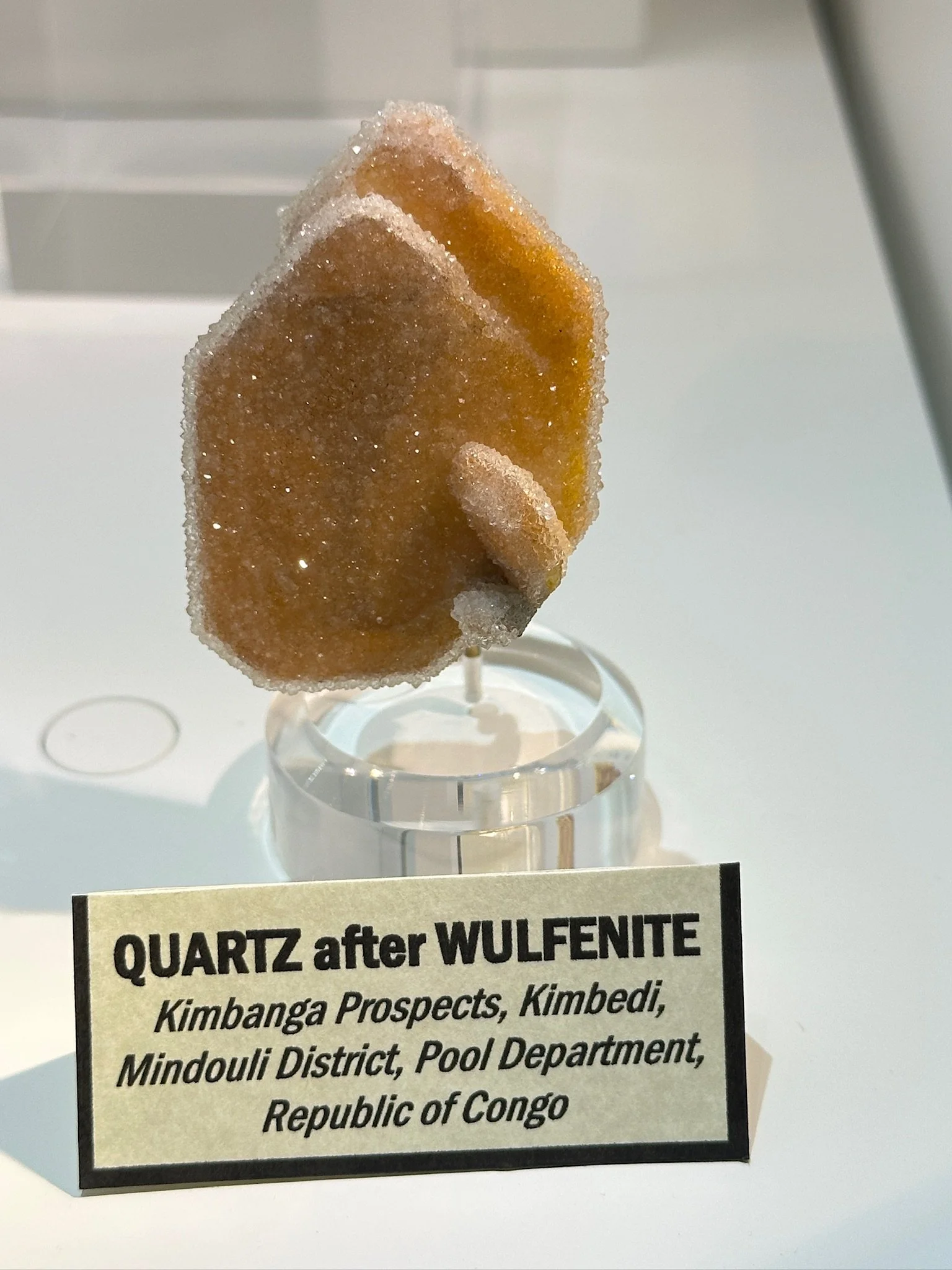 Rudolph Wulfie