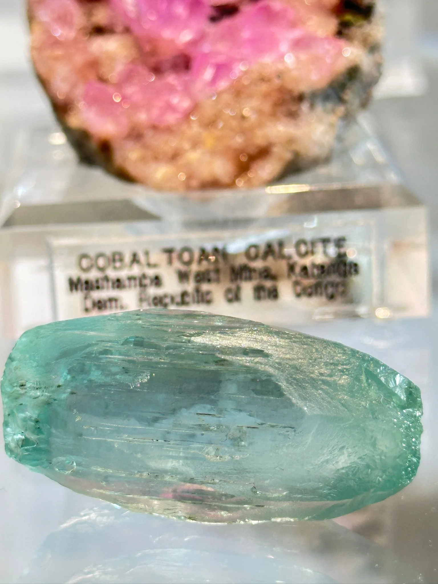 New Arrival, Brazil Aqua