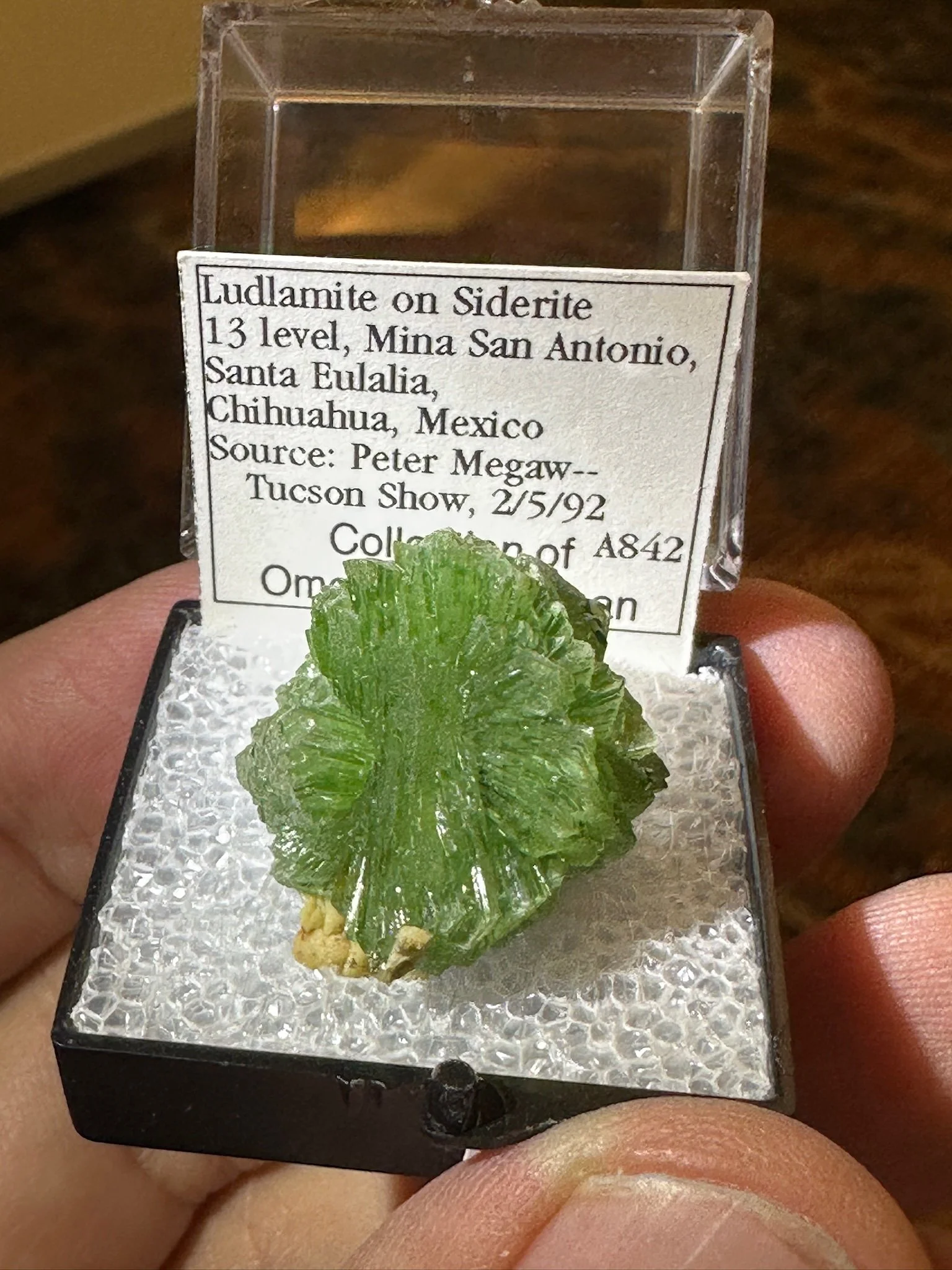 1992 Find Ludlamite