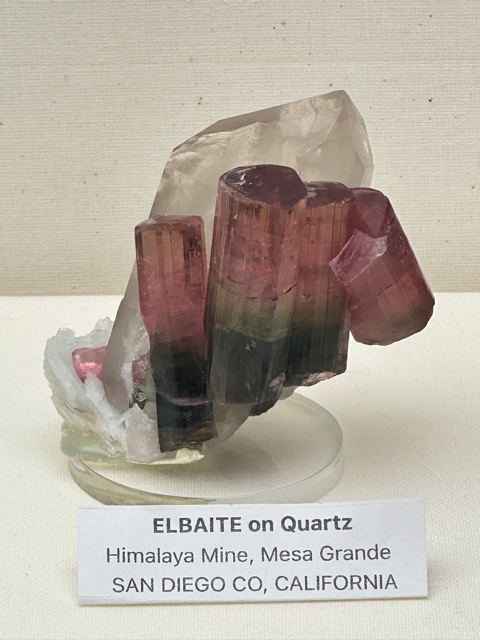 Close up of Phil's tourmaline