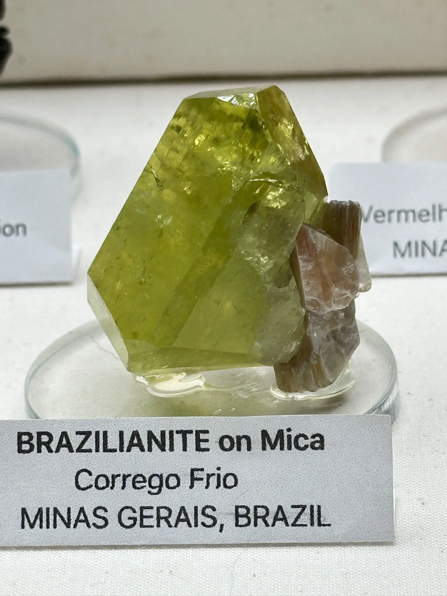Phikls Brazilianite