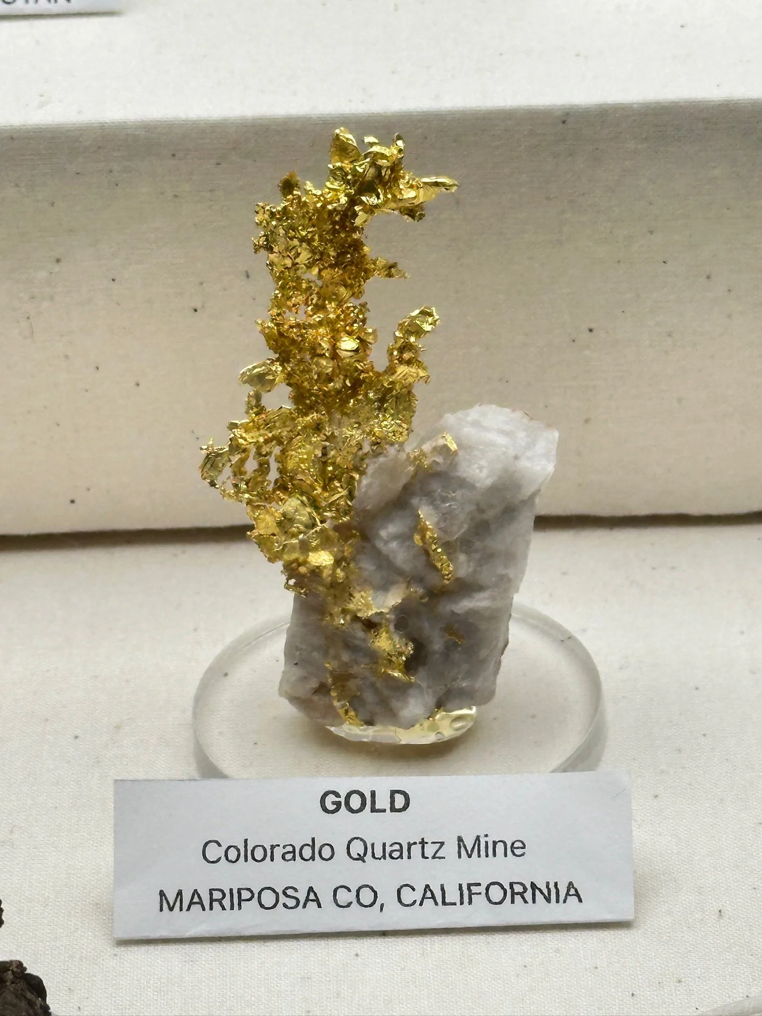 Phils Gold