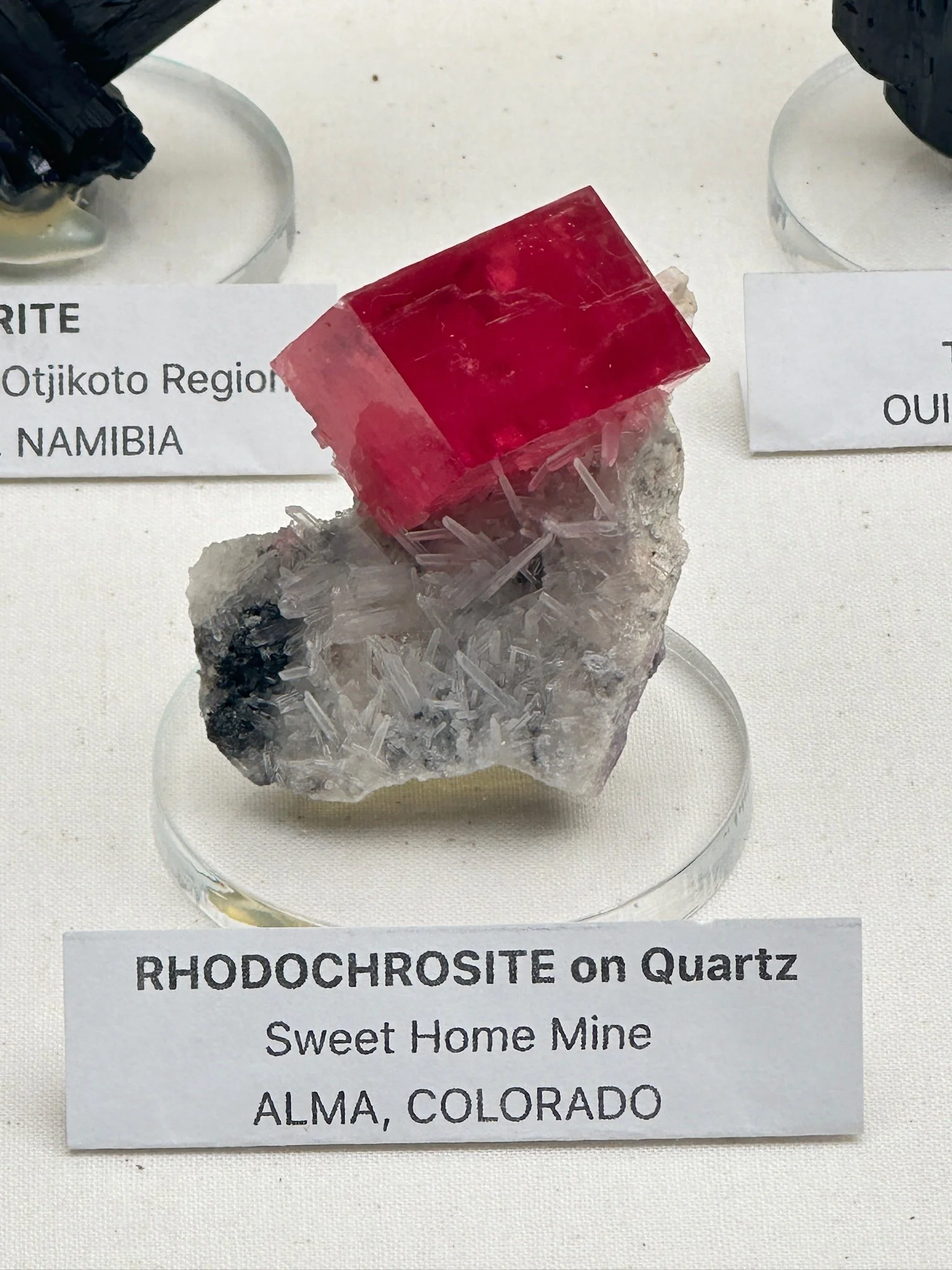 Favorite Rock in Phil's Case