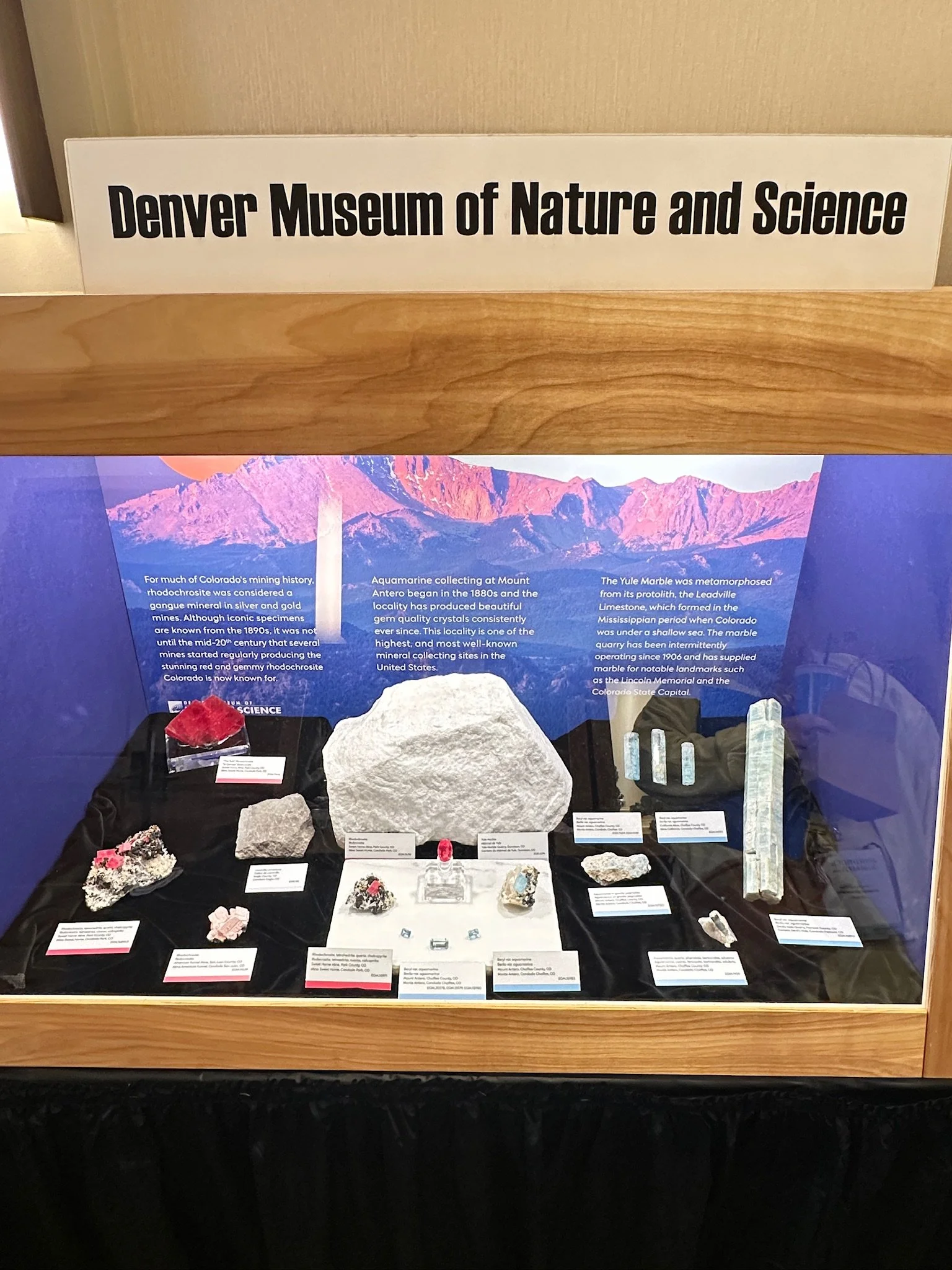Denver Museum Display