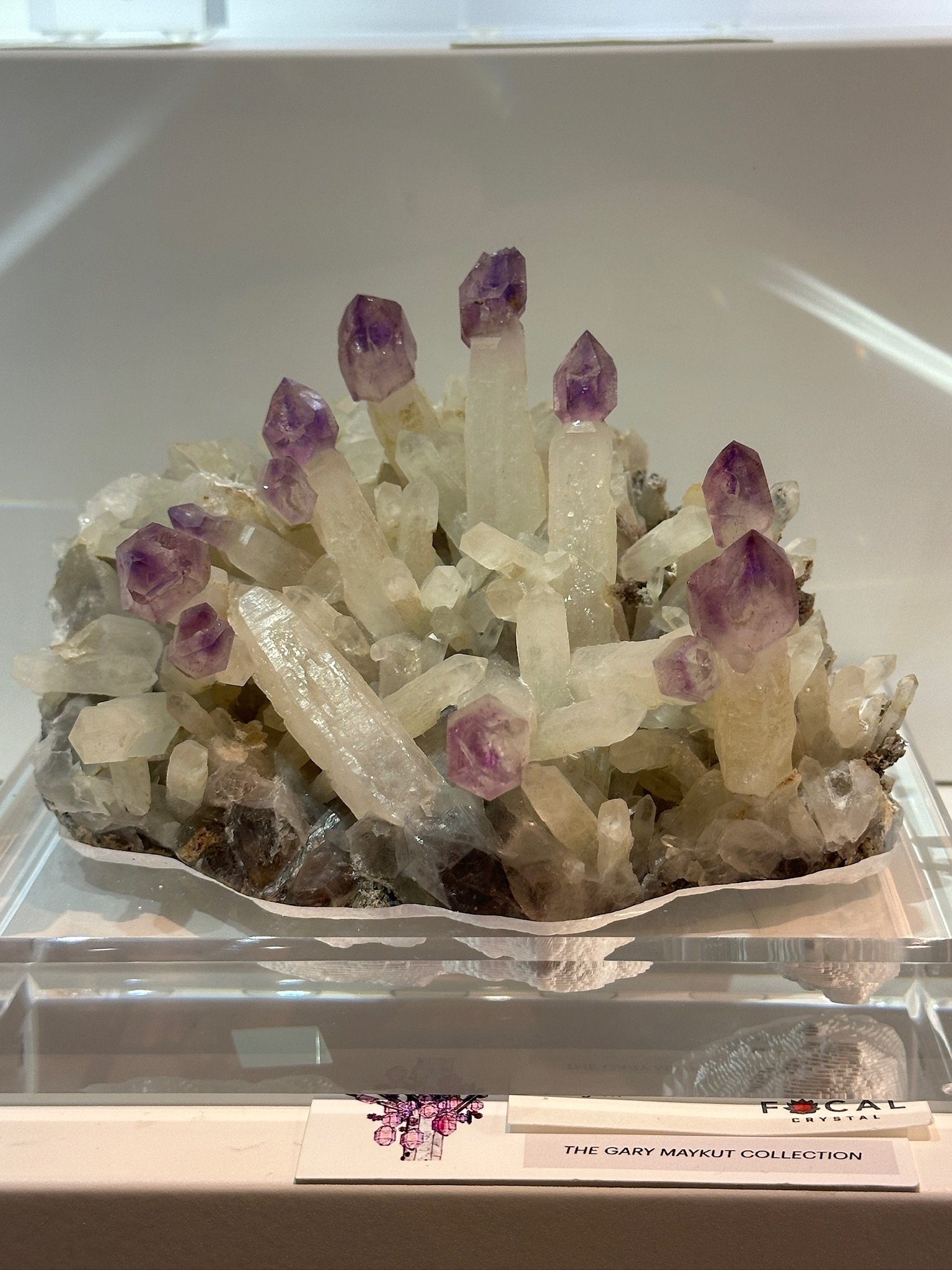 King Denny's Crown in the Case