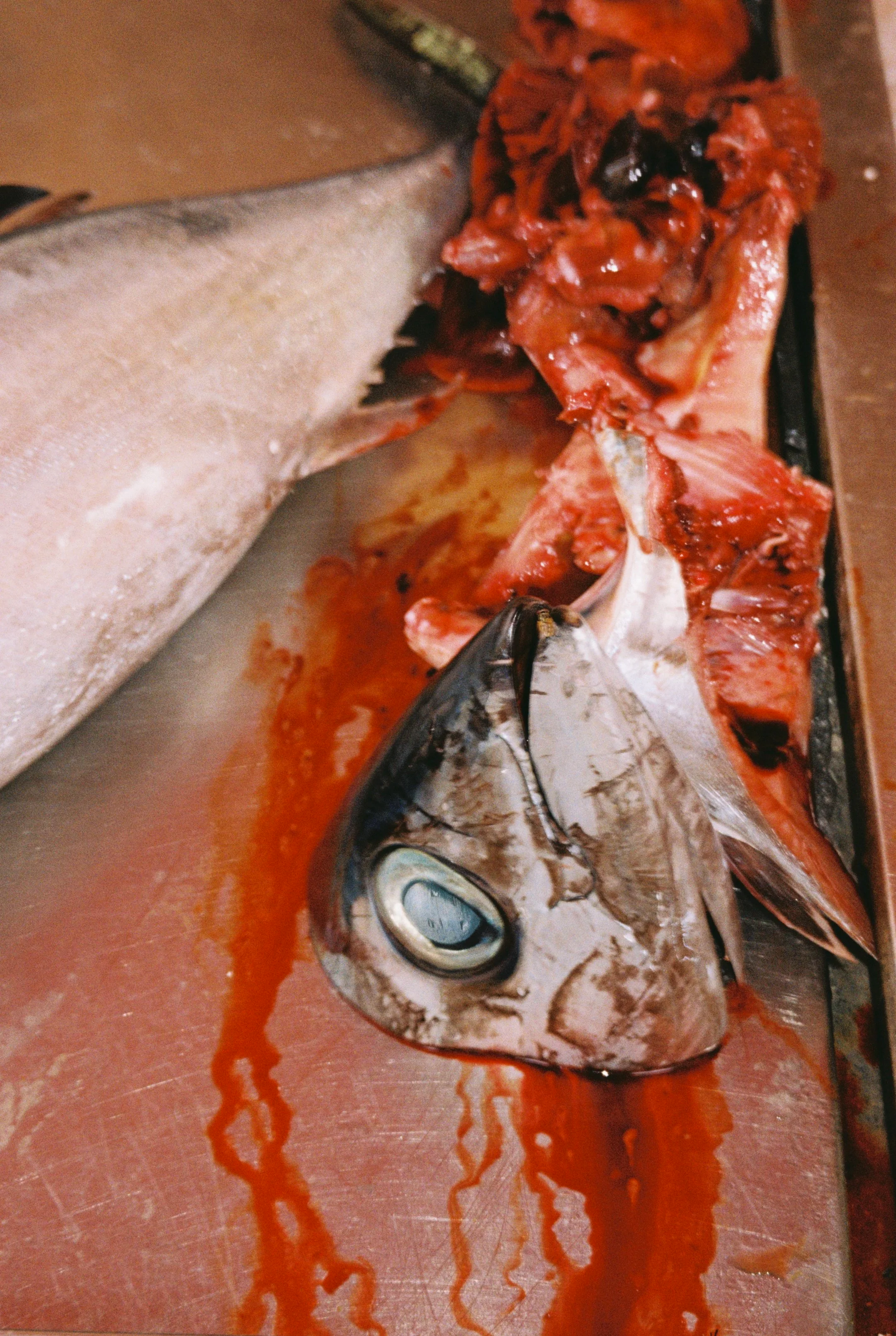 R1-09846-0019.png