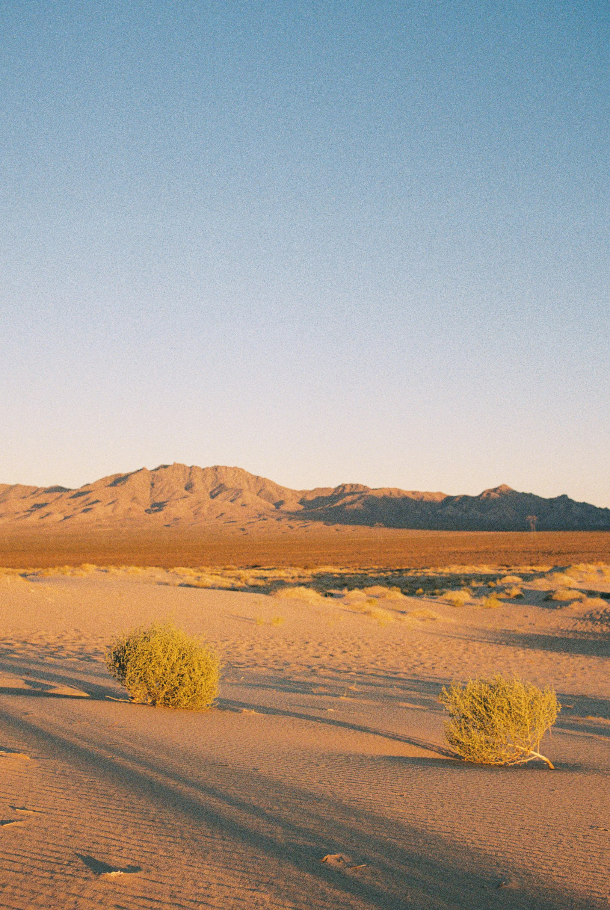 Mojave-desert-Sunset-Golden-Hours-Analog-Film.jpg