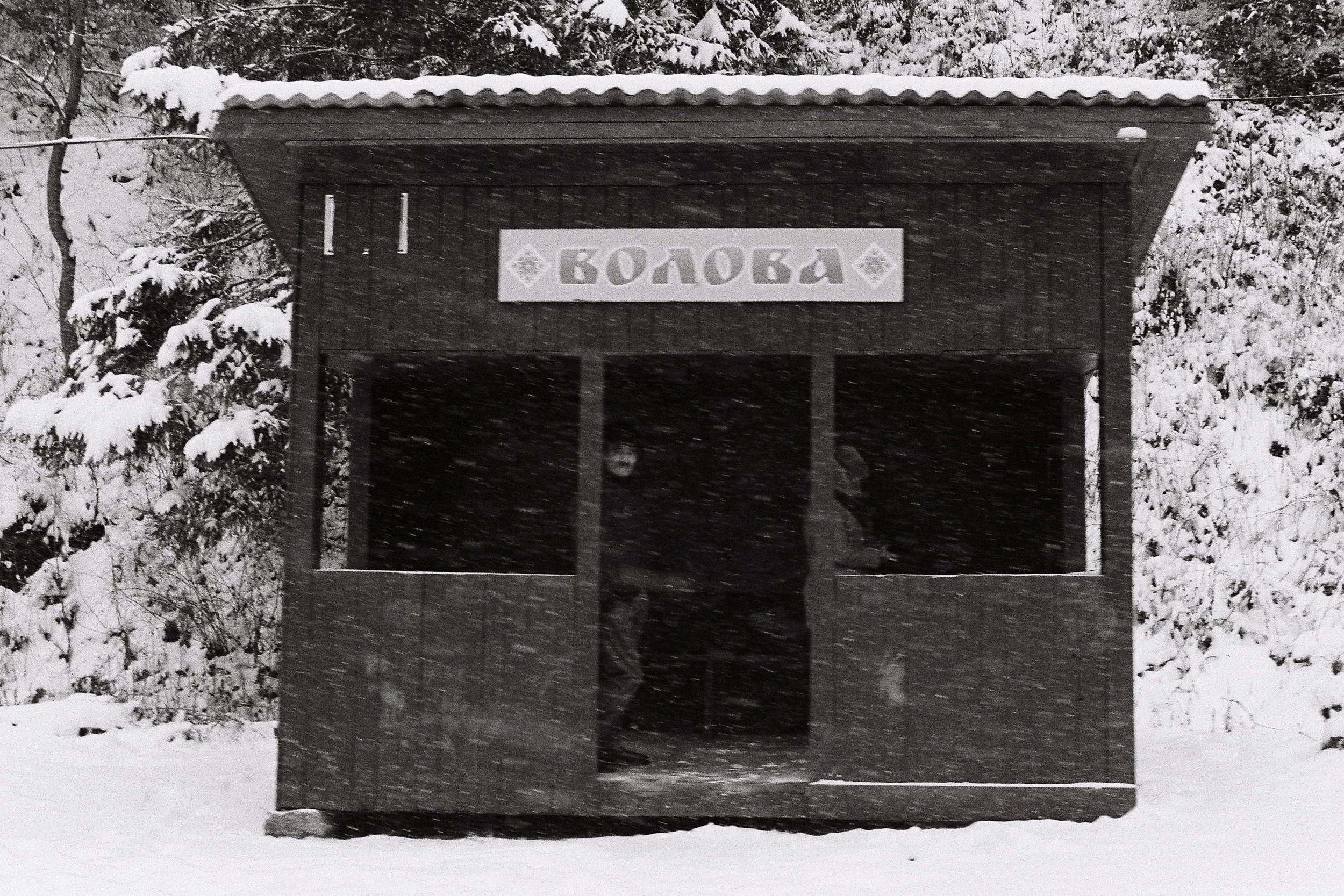 Carpathian Mountains