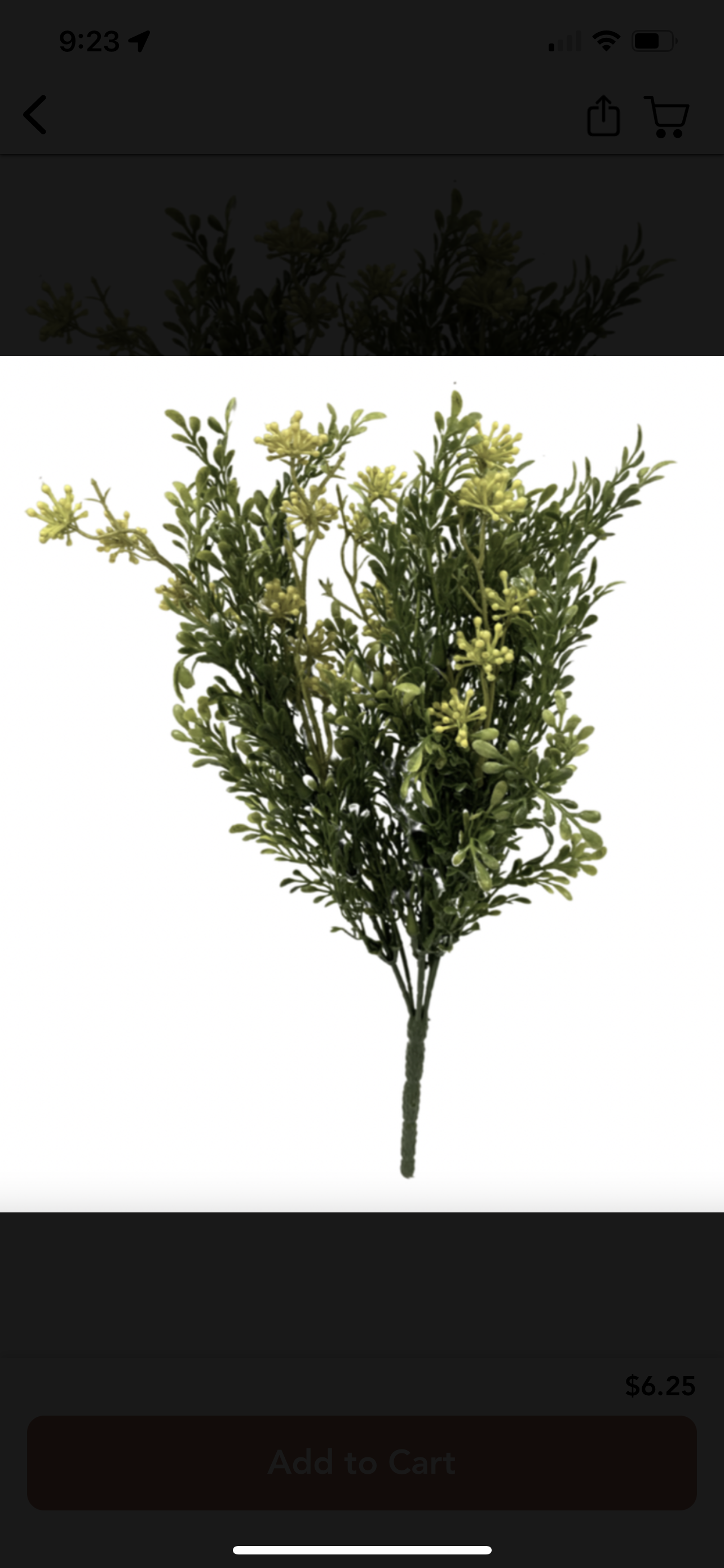Tealeaf & Berry floral pick 12”