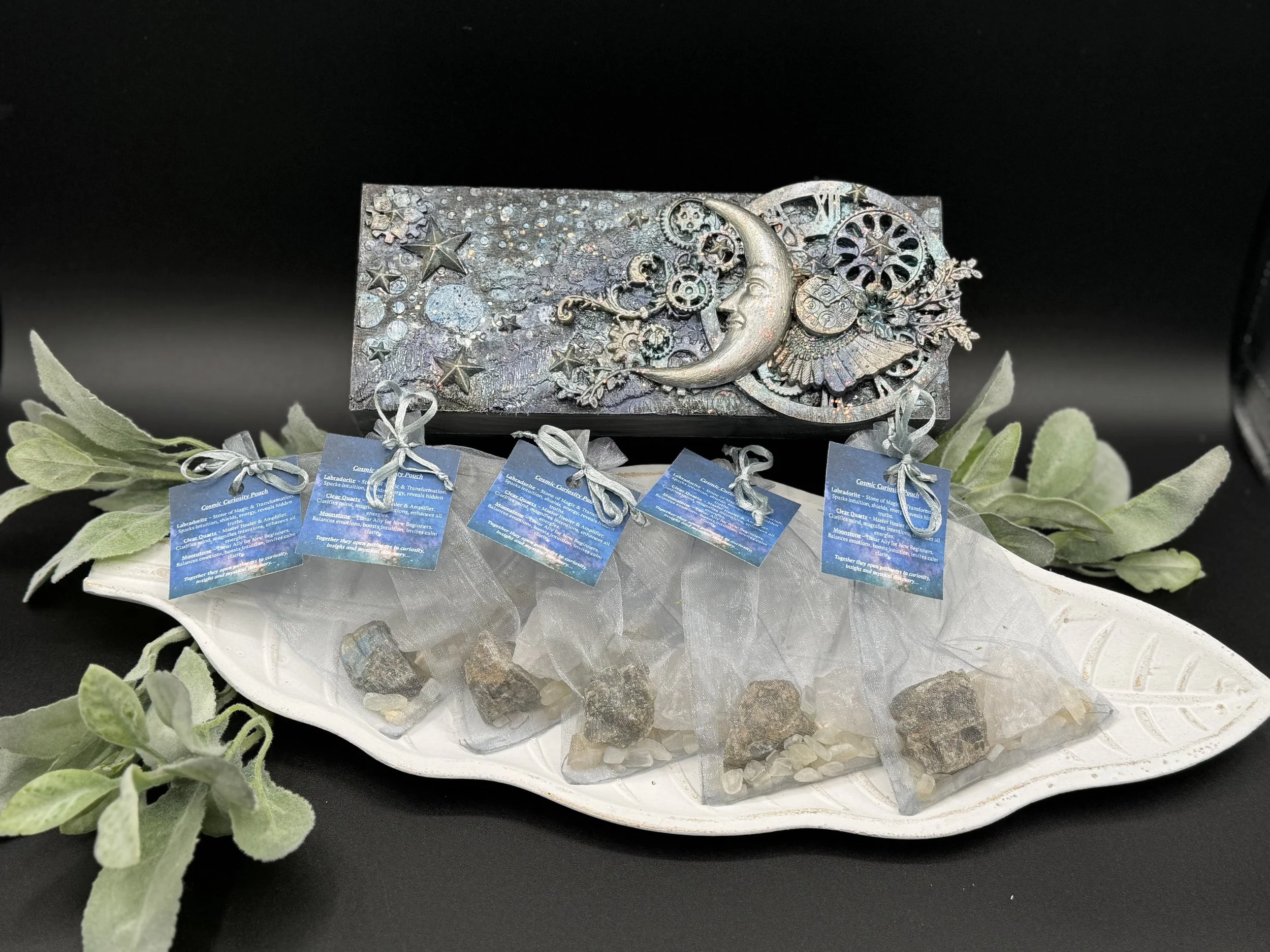 Cosmic Curiosity Crystal Pouch