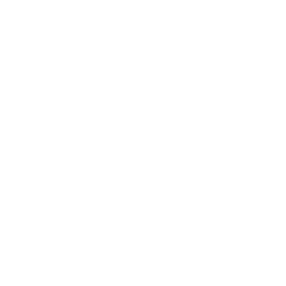 Agnico.png