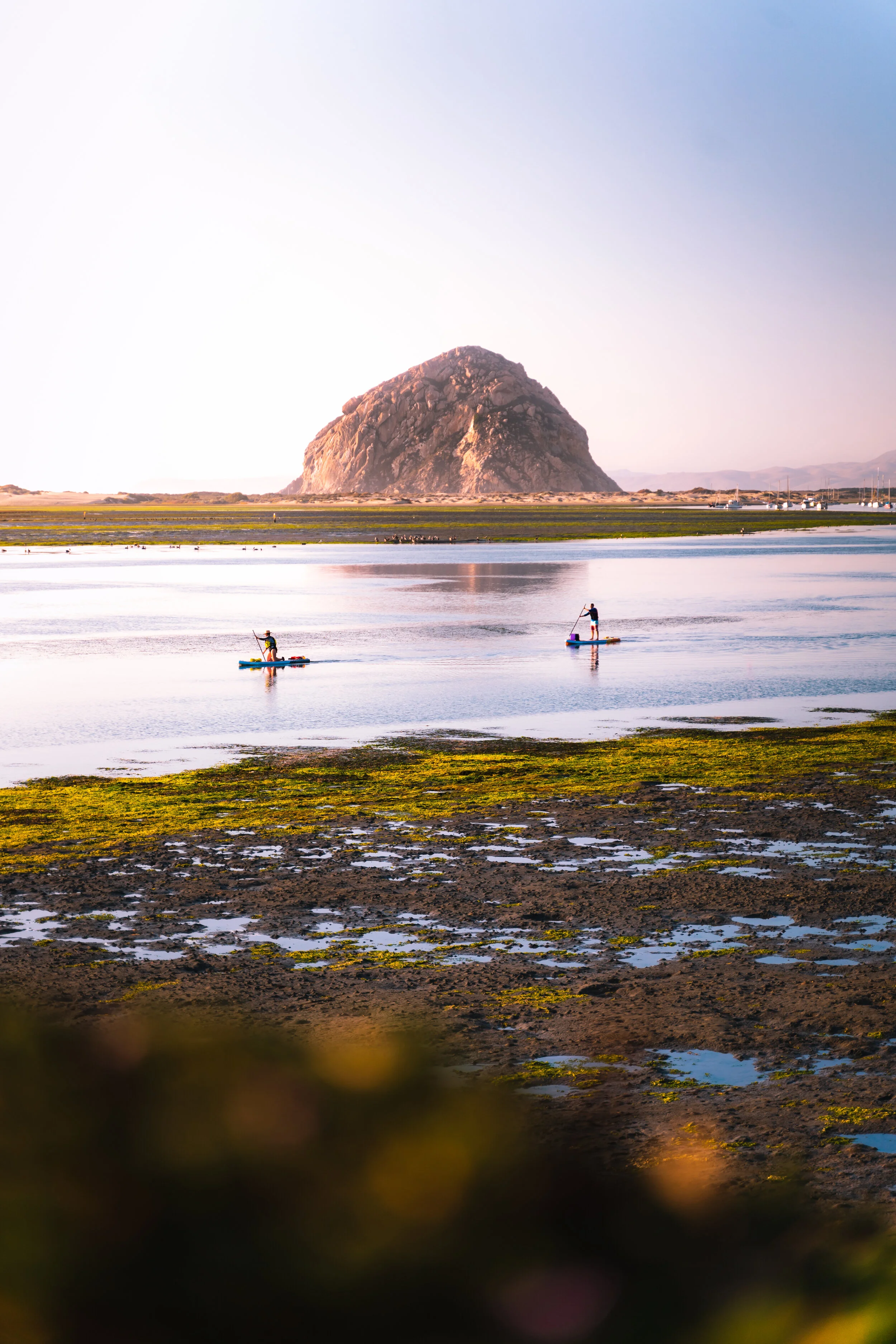 morro-bay-paddle-boarders.jpg