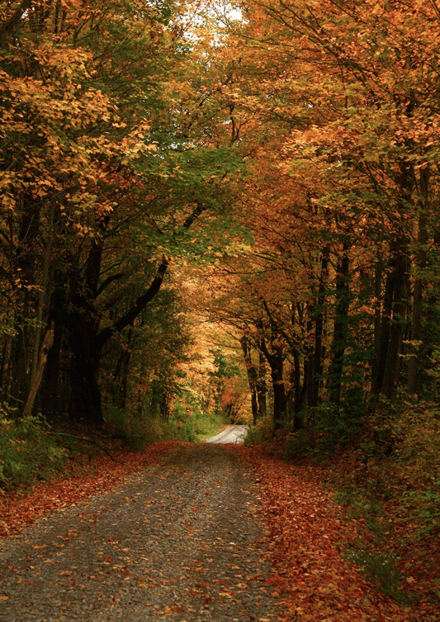 Screenshot 2026-03-30 at 9.37.46 PM.png