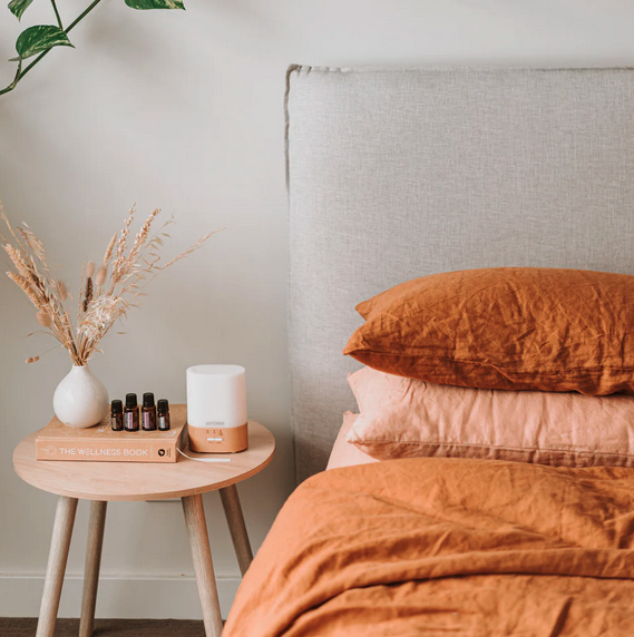 Online Sleep Workshop