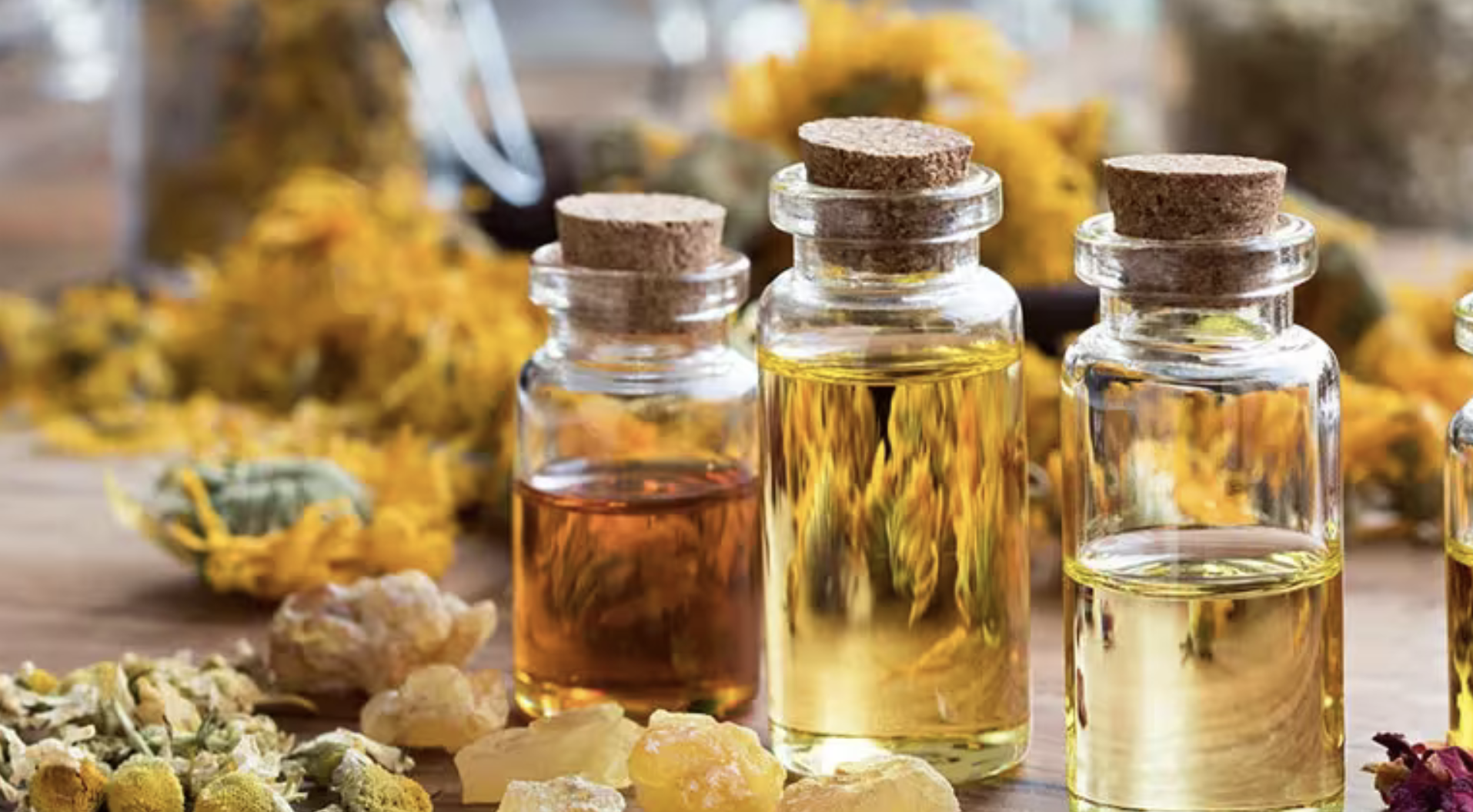 Screenshot 2026-04-12 at 7.53.08 PM.png