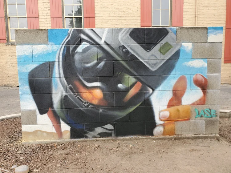 Large exterior mural by professional muralist Lase 28