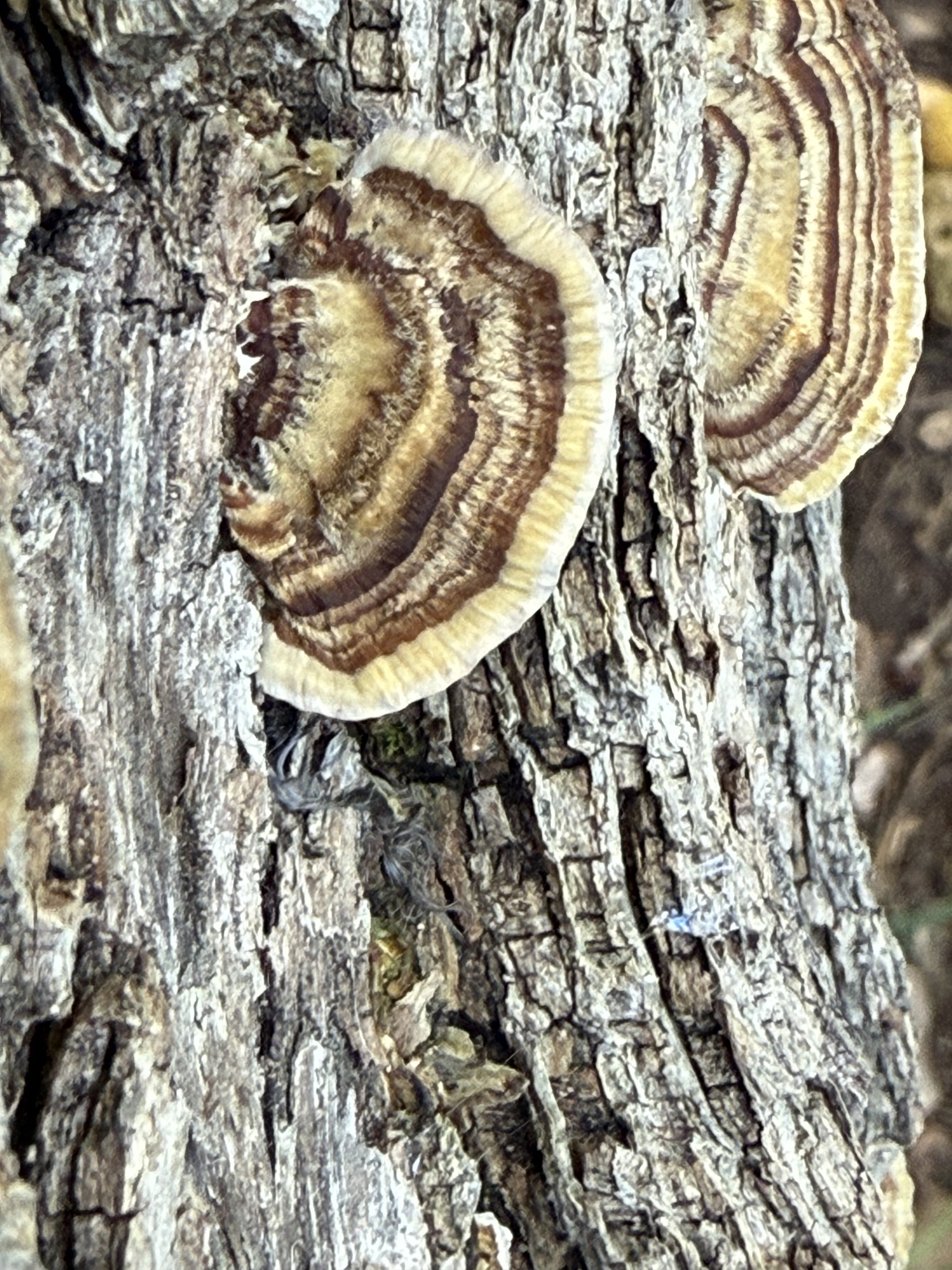 IMG_7863.jpg