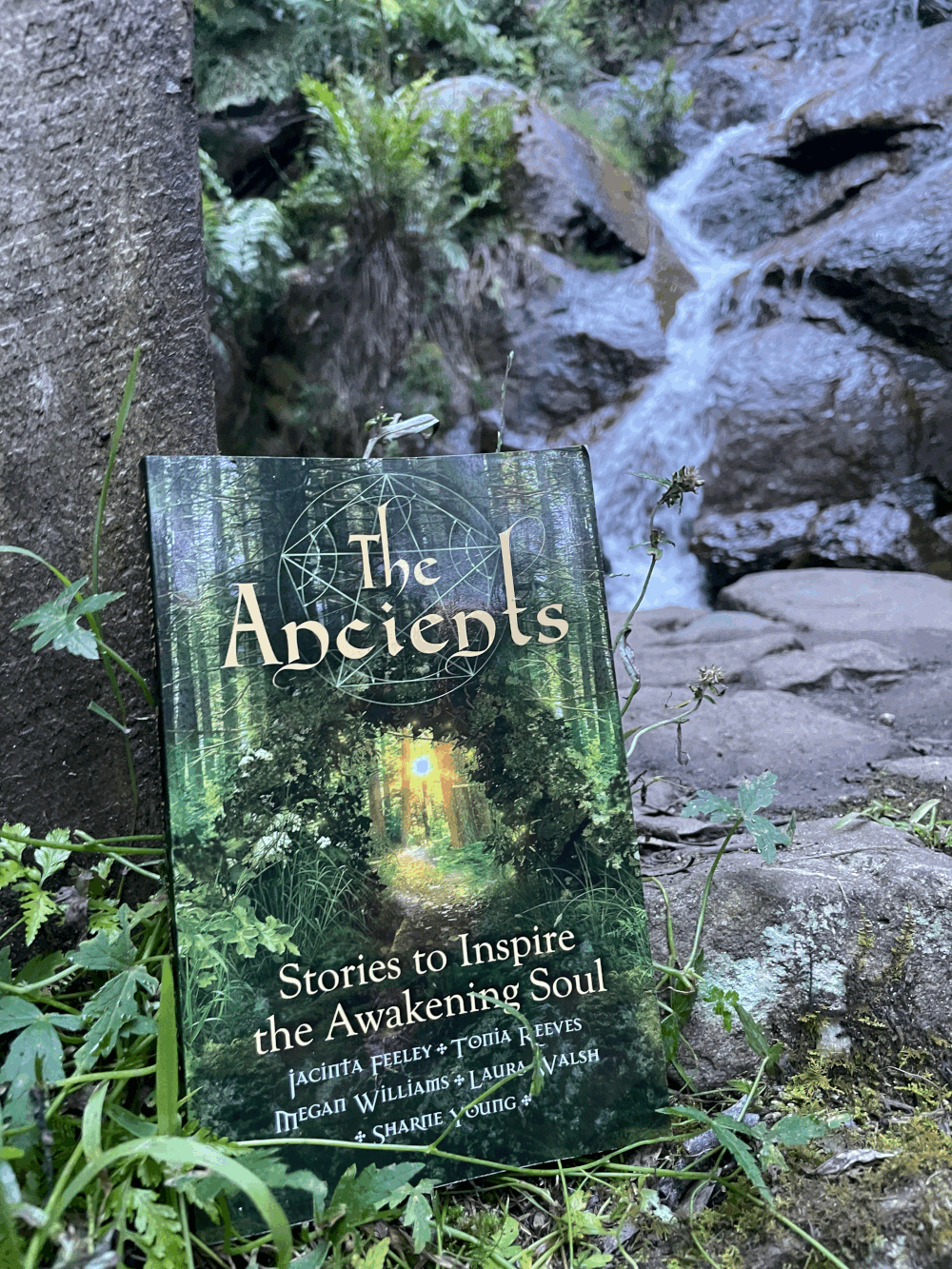The Ancients Book — The Cowgirl Medium