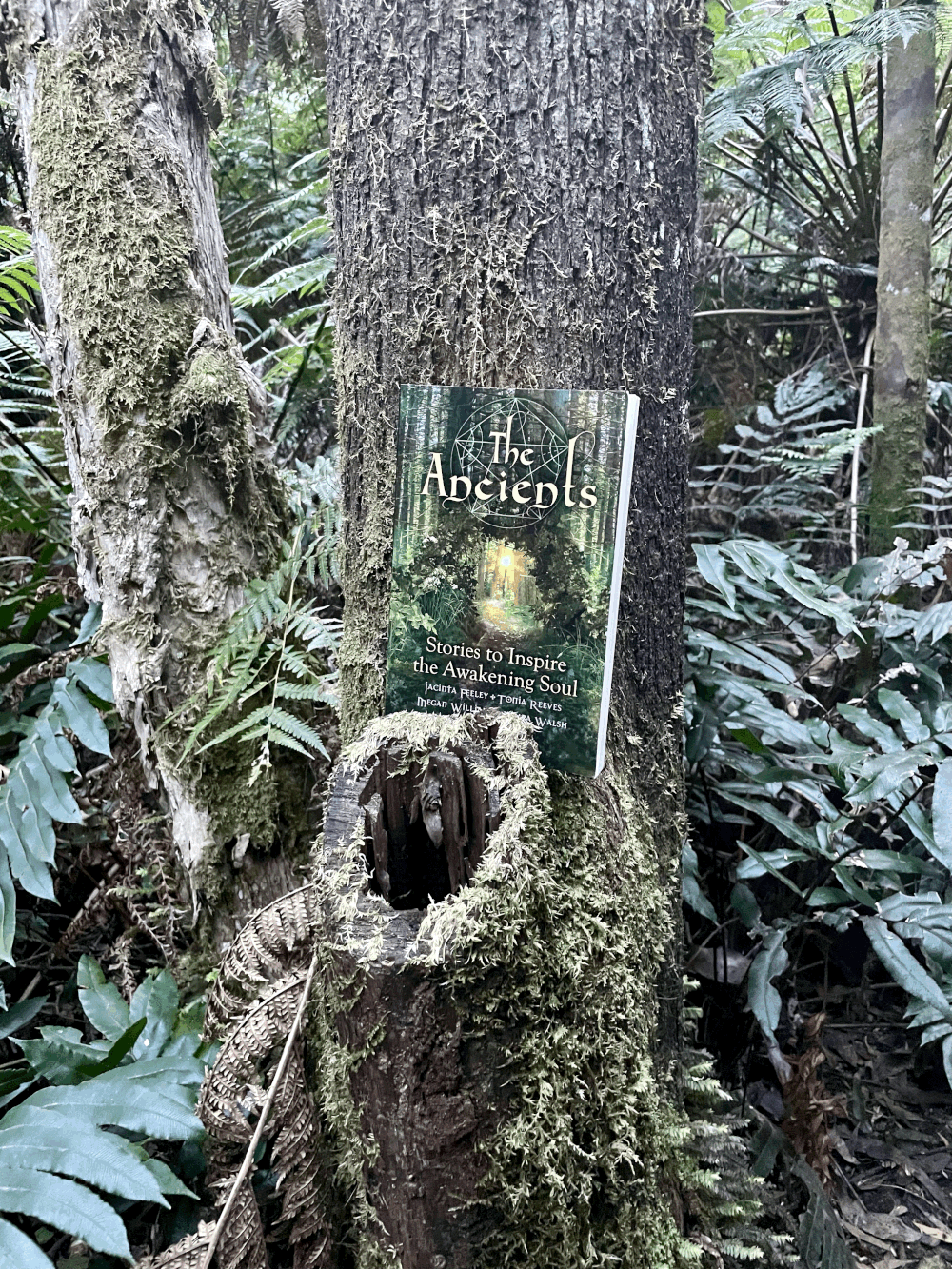 The Ancients Book — The Cowgirl Medium