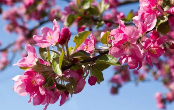 Spring, Feeling & Finding