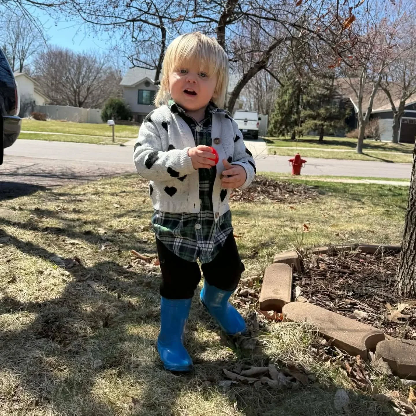 Wonderful day! ❤️🐰🧺🐥