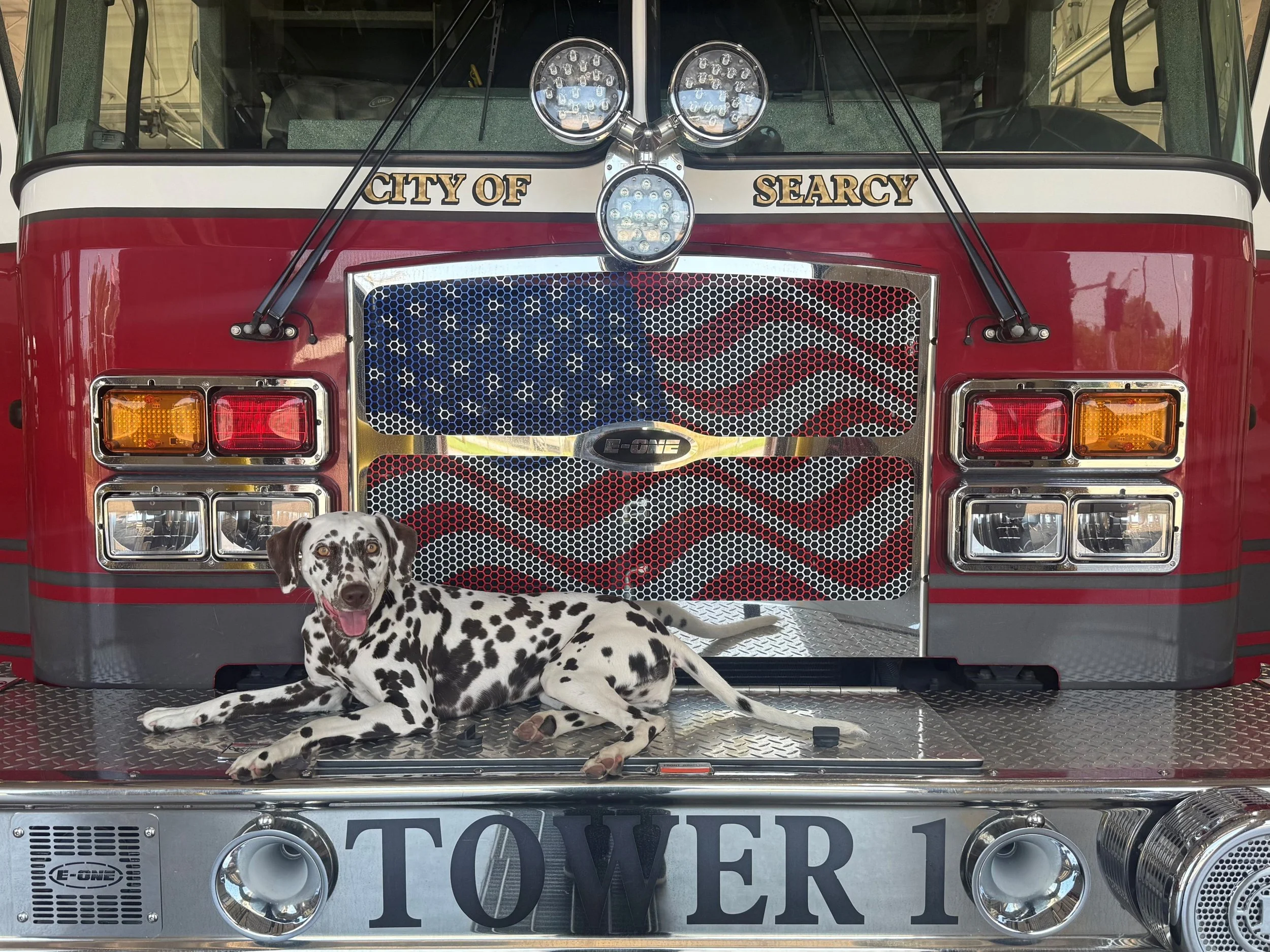Ember, Fire House Pup