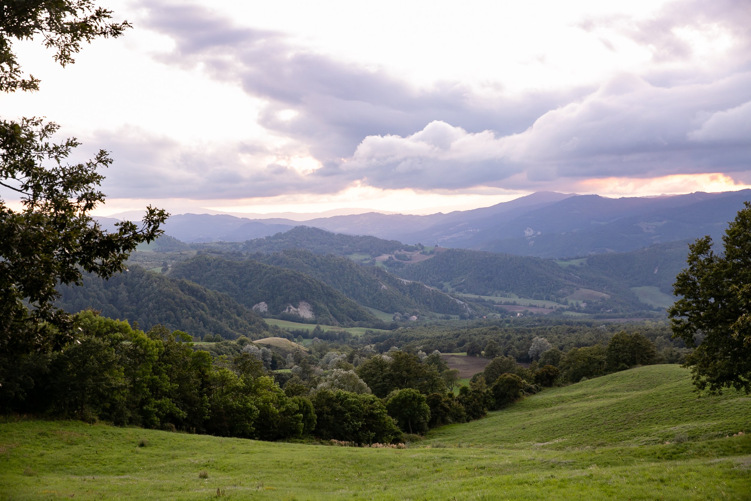 Venticinque_190910_6514.jpg