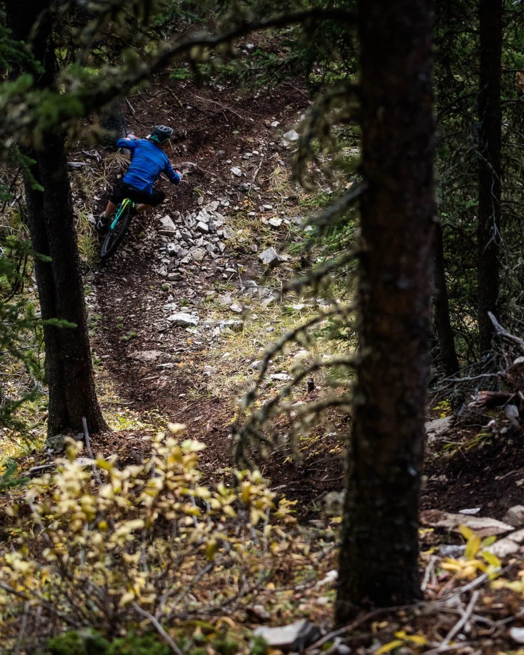 DH Fiver 4 is almost here. Join us for the final PreRide of the season on Thursday, September 18!

We&rsquo;ll meet at Ing&rsquo;s Mine at 6 PM and get after T-Dub. Guided by PMBIA-certified instructor @seangotexchangeagram, this is your chance to di