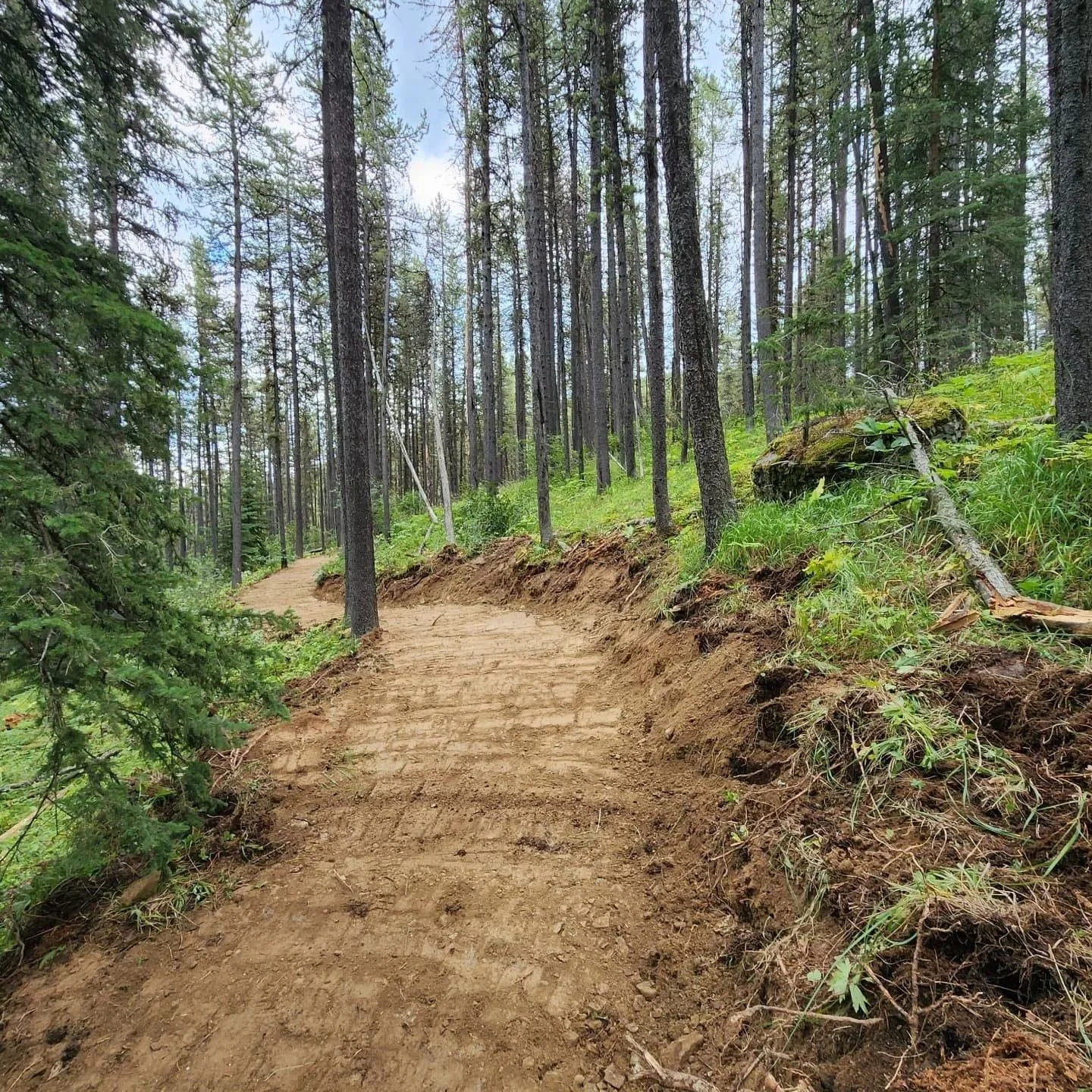 Support the trails you love. 🍻🚵&zwj;♂️

MMBTS&rsquo;s Annual Sponsor Auction is going down
📍 Banded Peak Brewing
📅 Wednesday, February 11 | 7pm - 9pm

Bid on event sponsorships, Adopt-a-Trail for the season, and help support trail building, maint