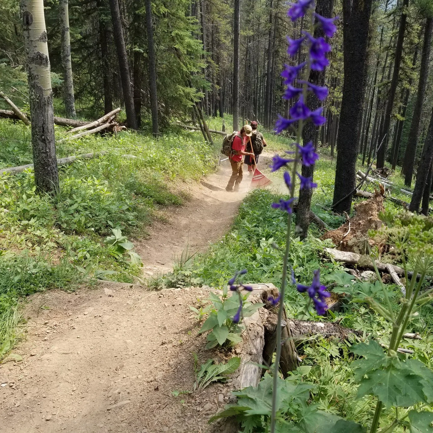 DYK: What It Takes to Build a Trail (Part 3)
Before dirt gets moved, a lot has to happen.

Bird Sweeps (April&ndash;August)
If trees need to be removed, biologists must walk the trail every 7 days to protect nesting birds.
💸 $10,000&ndash;$15,000

G