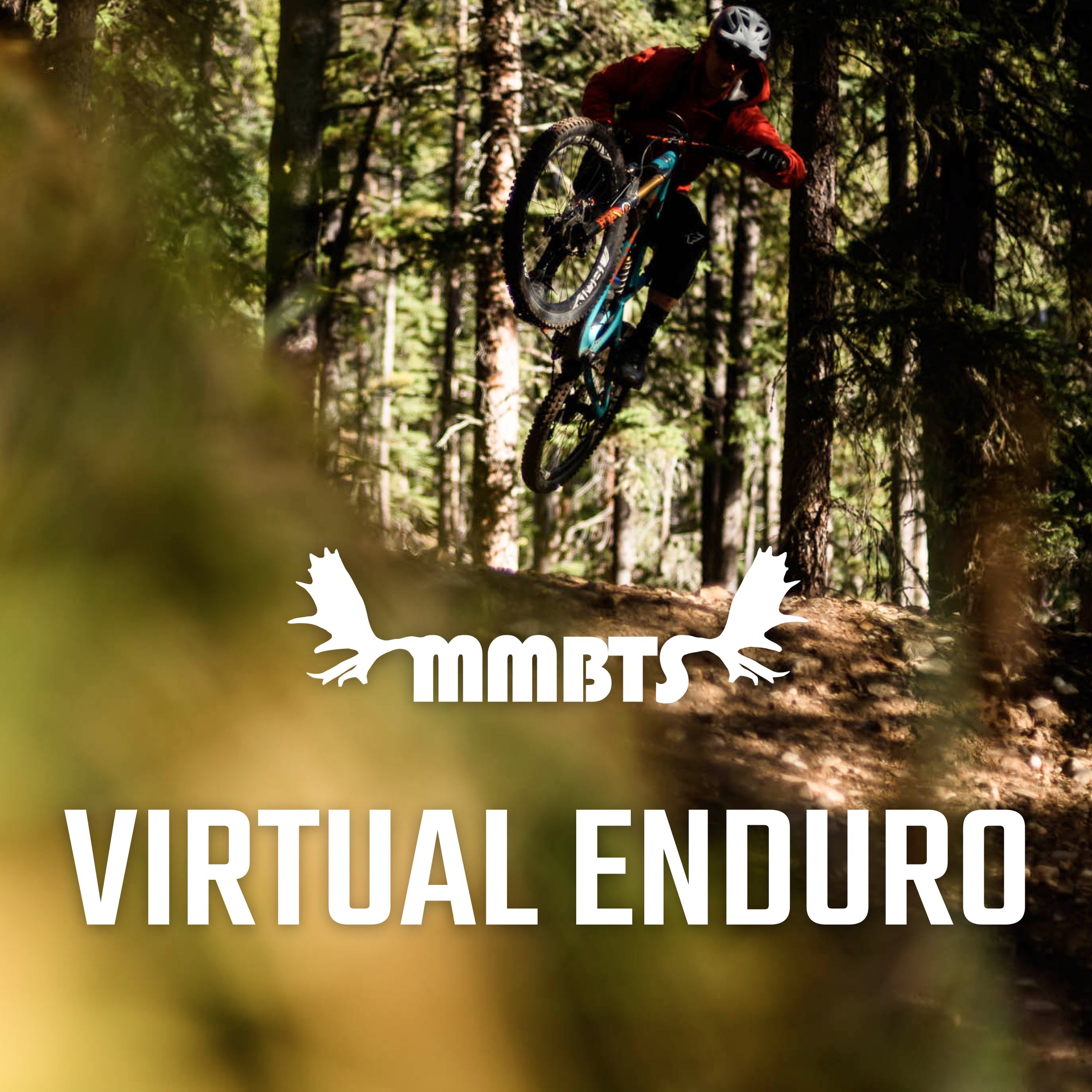 2025 Virtual Enduro #2