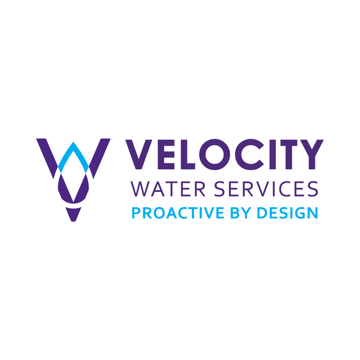 Velocity Water Systems.png
