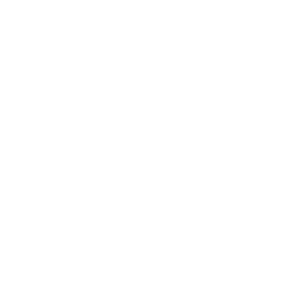 Heather Lewis (5).png