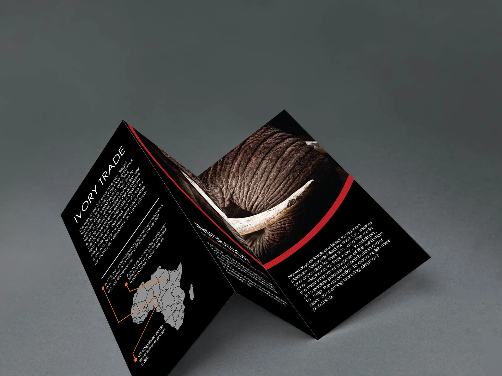 Tri_Fold_Brochure_MockUp.jpg