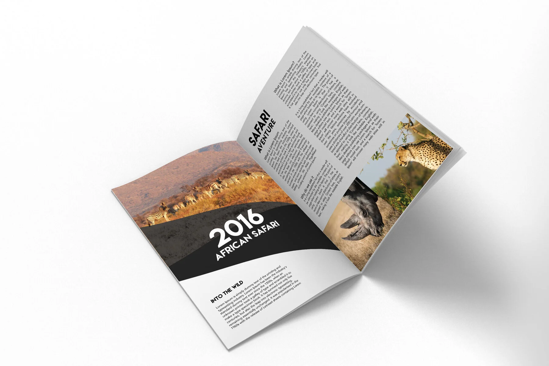 A4_brochure_mock-up_behance.jpg