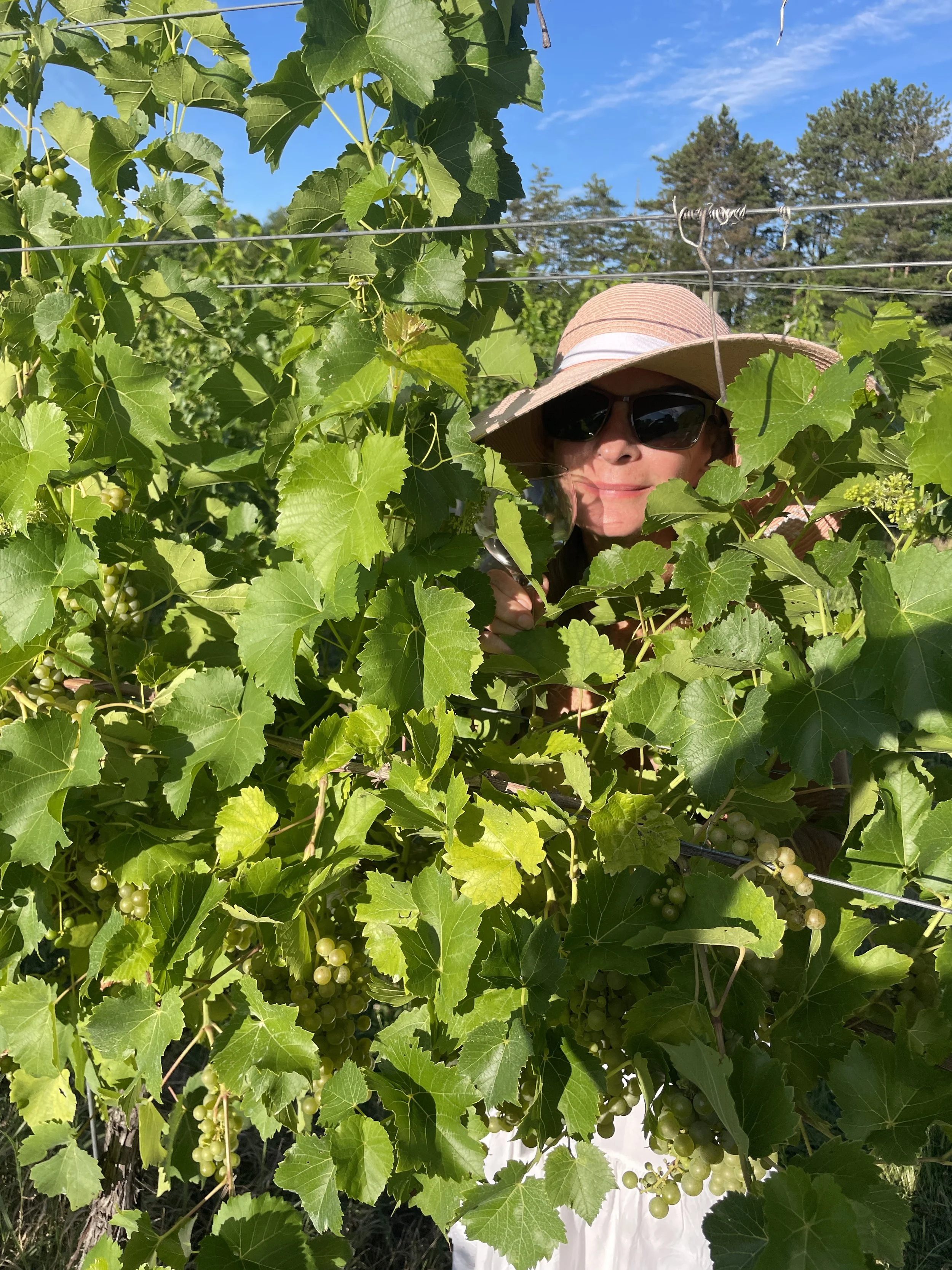 GOTL winery peeking.JPG