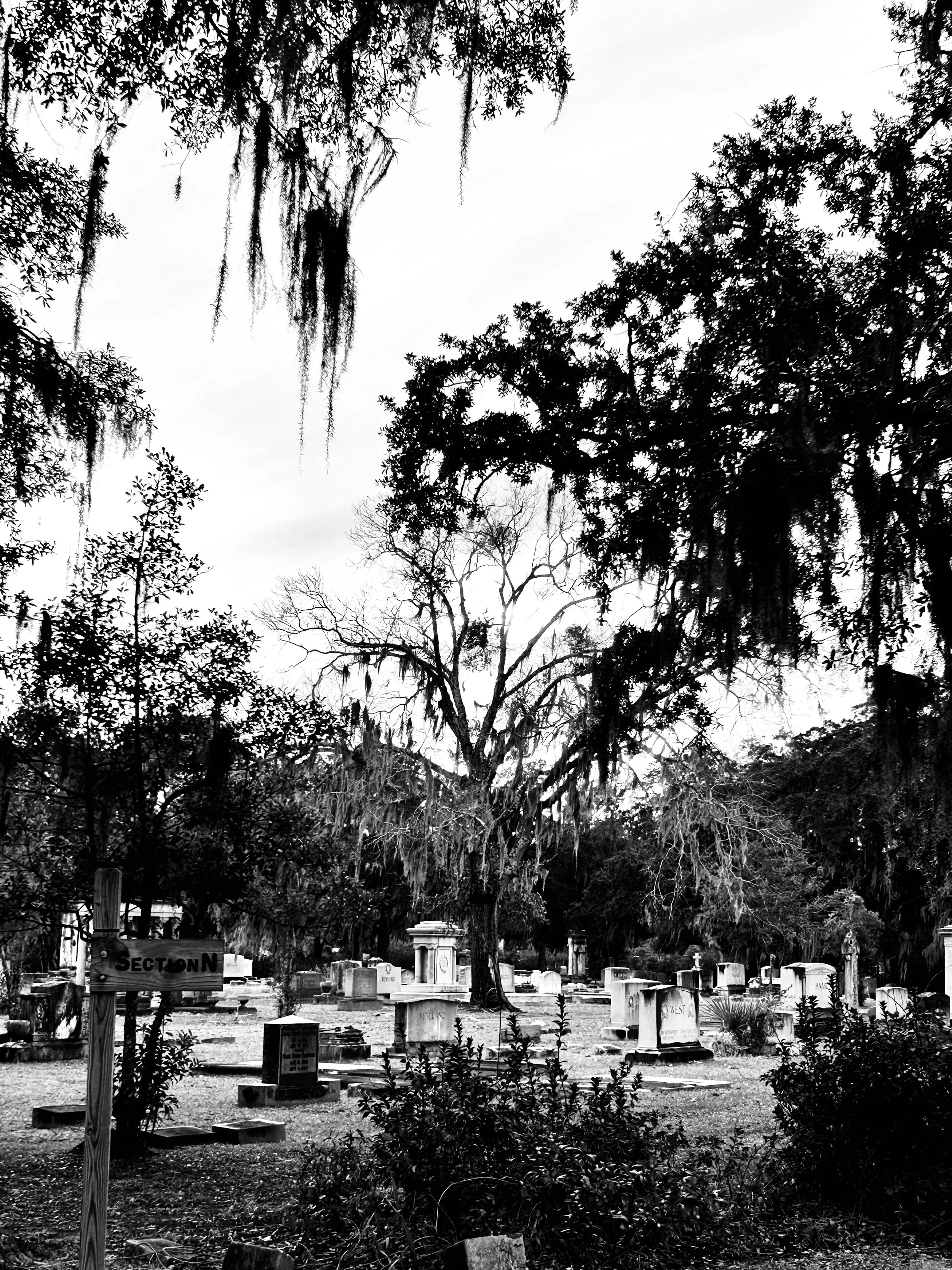 The Bonaventure Cemetery: Peace Among the Graves
