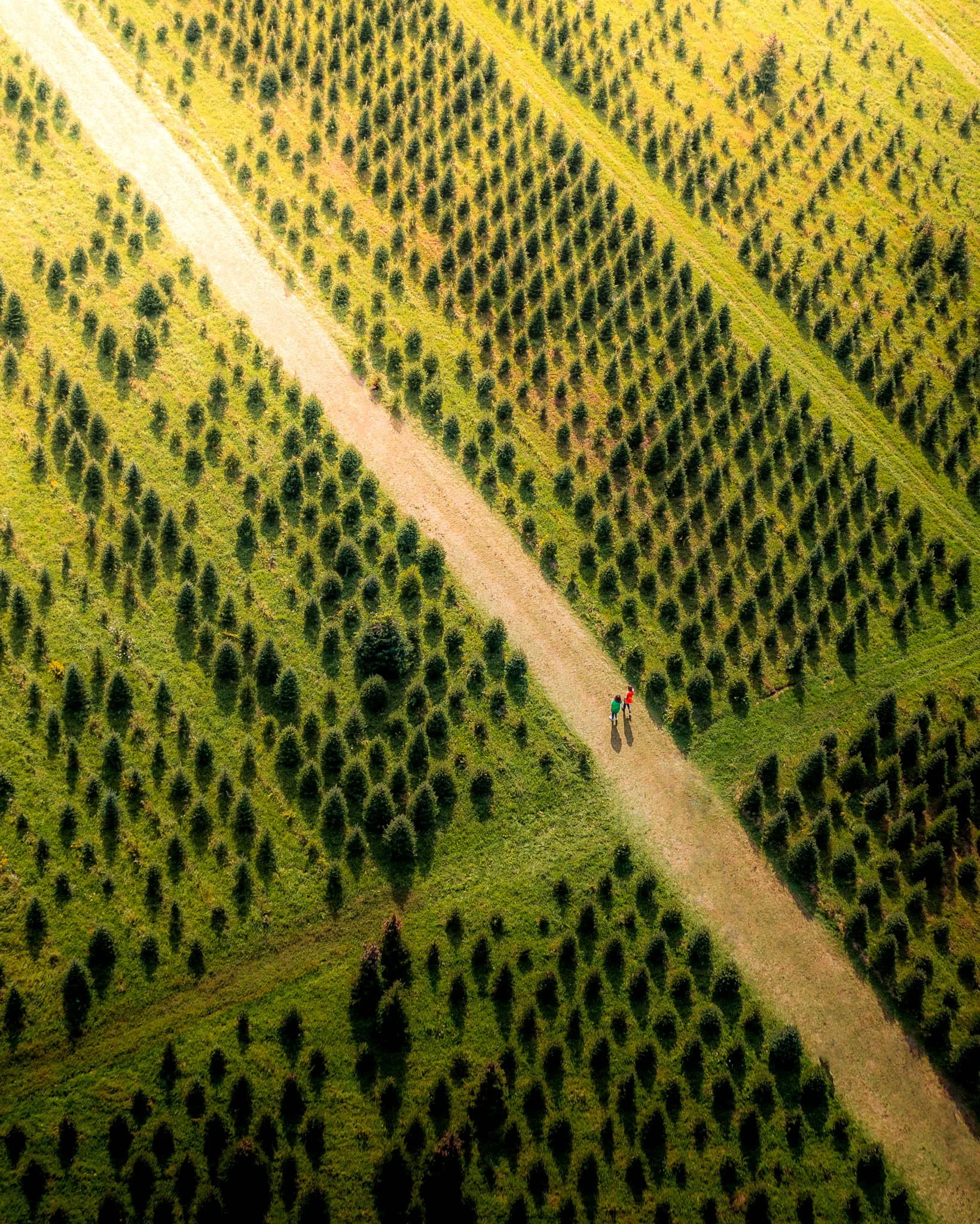 20211221-20211002-DJI_0902-2.jpg