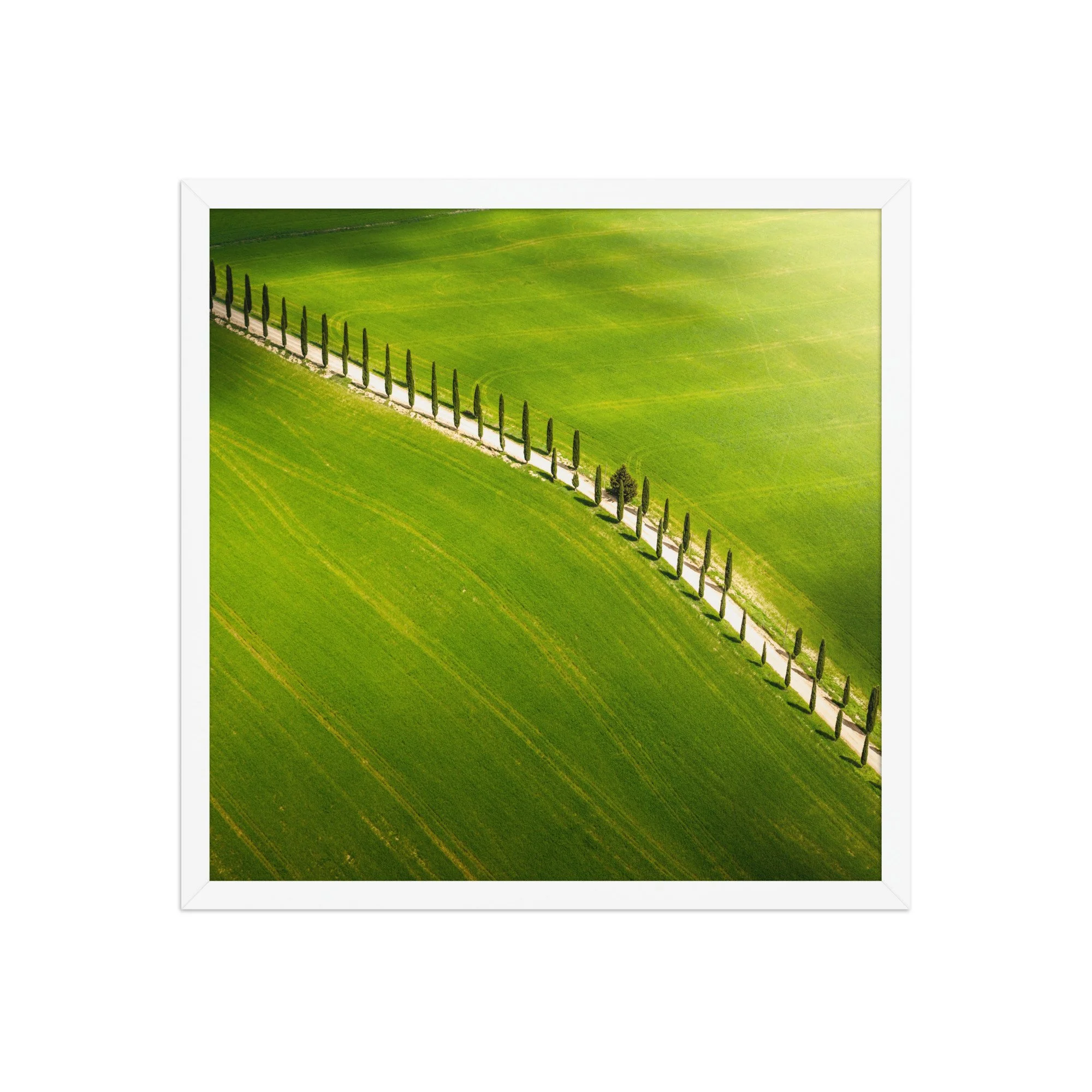 premium-luster-photo-paper-framed-poster-(in)-white-18x18-front-6a6a4332f20e5.jpg