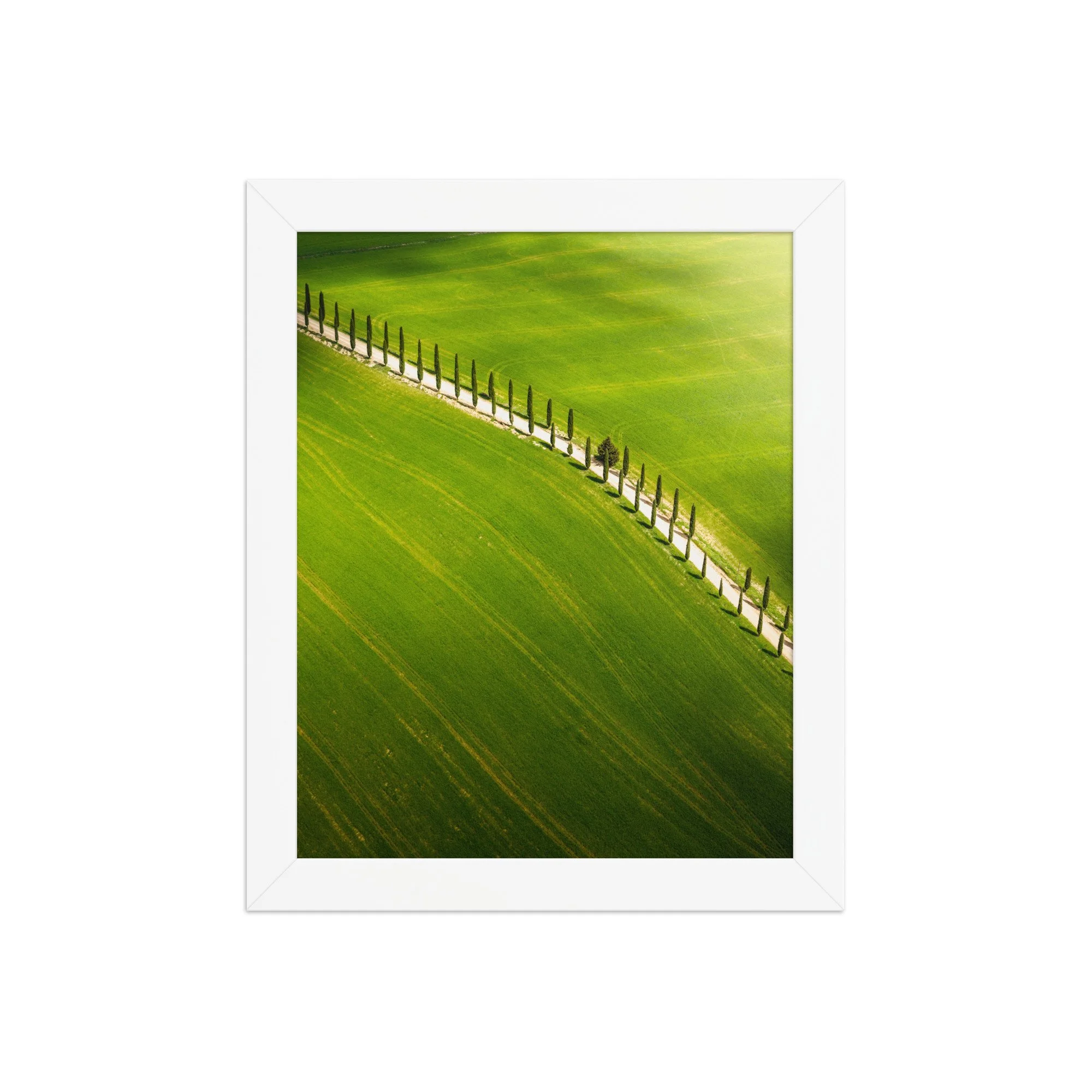 premium-luster-photo-paper-framed-poster-(in)-white-8x10-front-6a6a4332f373a.jpg